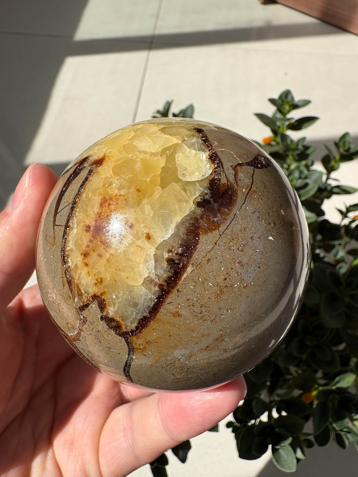 Natural Septarian Sphere 1.41lb 3.03″ Crystal Ball Healing