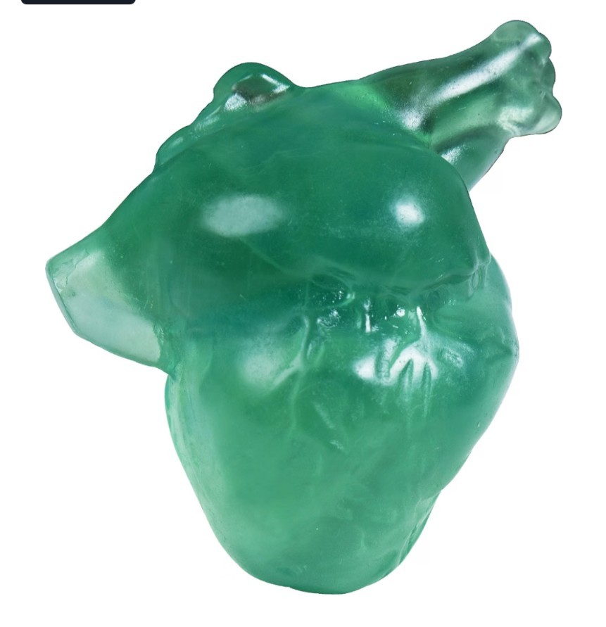 Anatomical Green Flourite Carved Human Heart Father’s Day Birthday Healing Gift