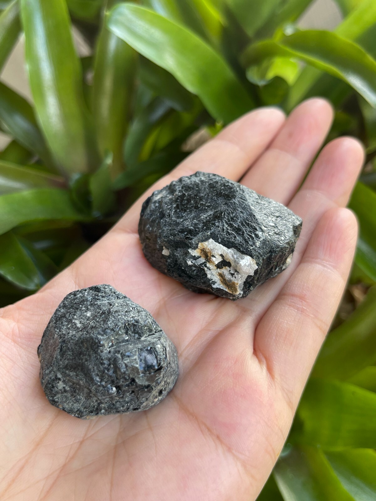Raw Black Tourmaline, 1″-2.5″ Natural Rough Black Tourmaline, Wholesale Bulk Lot