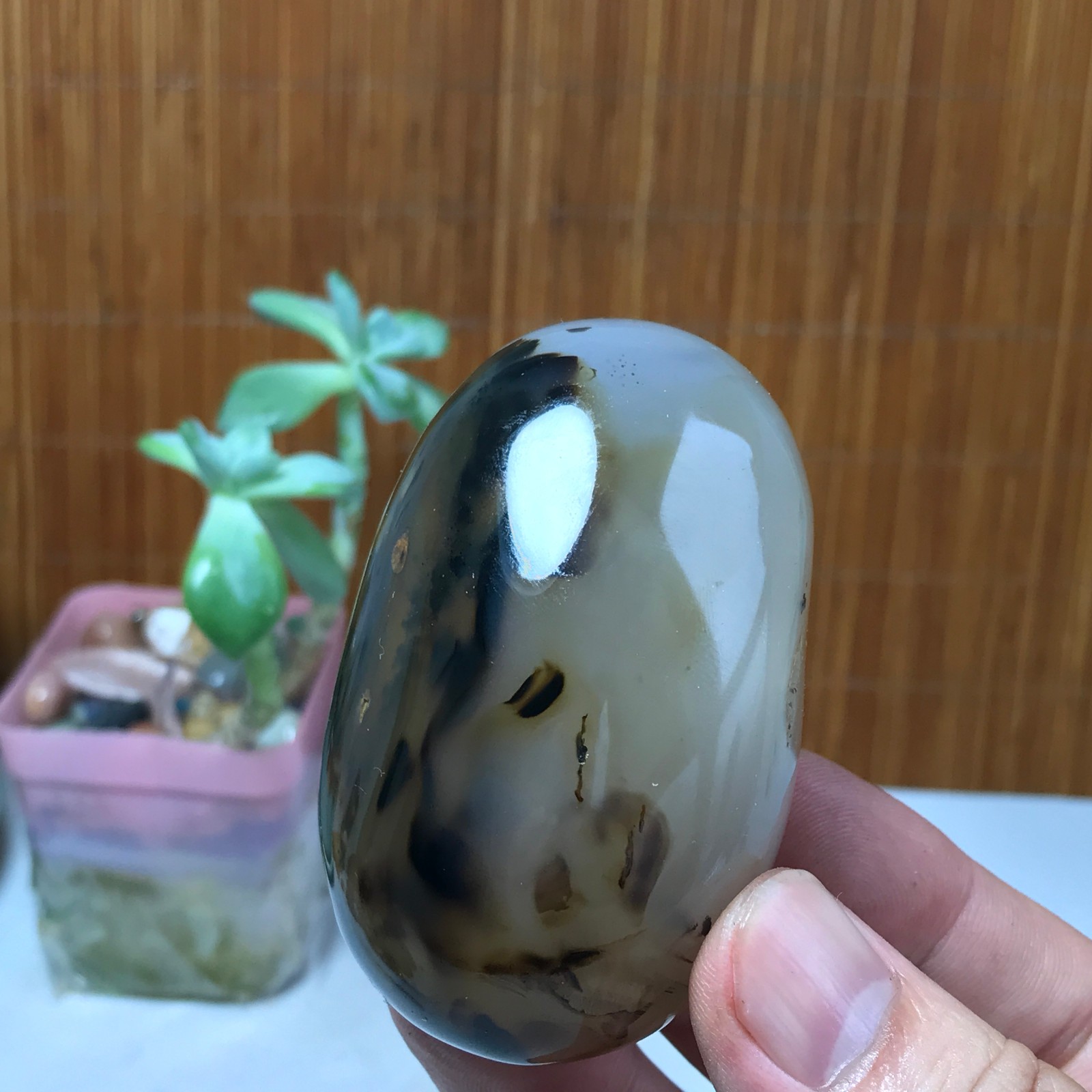 67mm Natural aquatic plants agate pretty Crystal specimens 142g A1633