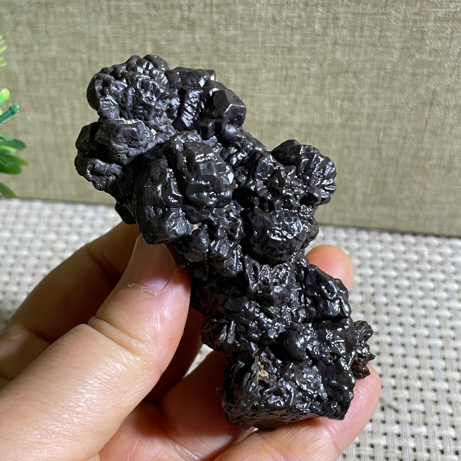 202g Limonite & Hematite pseudomorph after Marcasite Prophecy Rock Stone