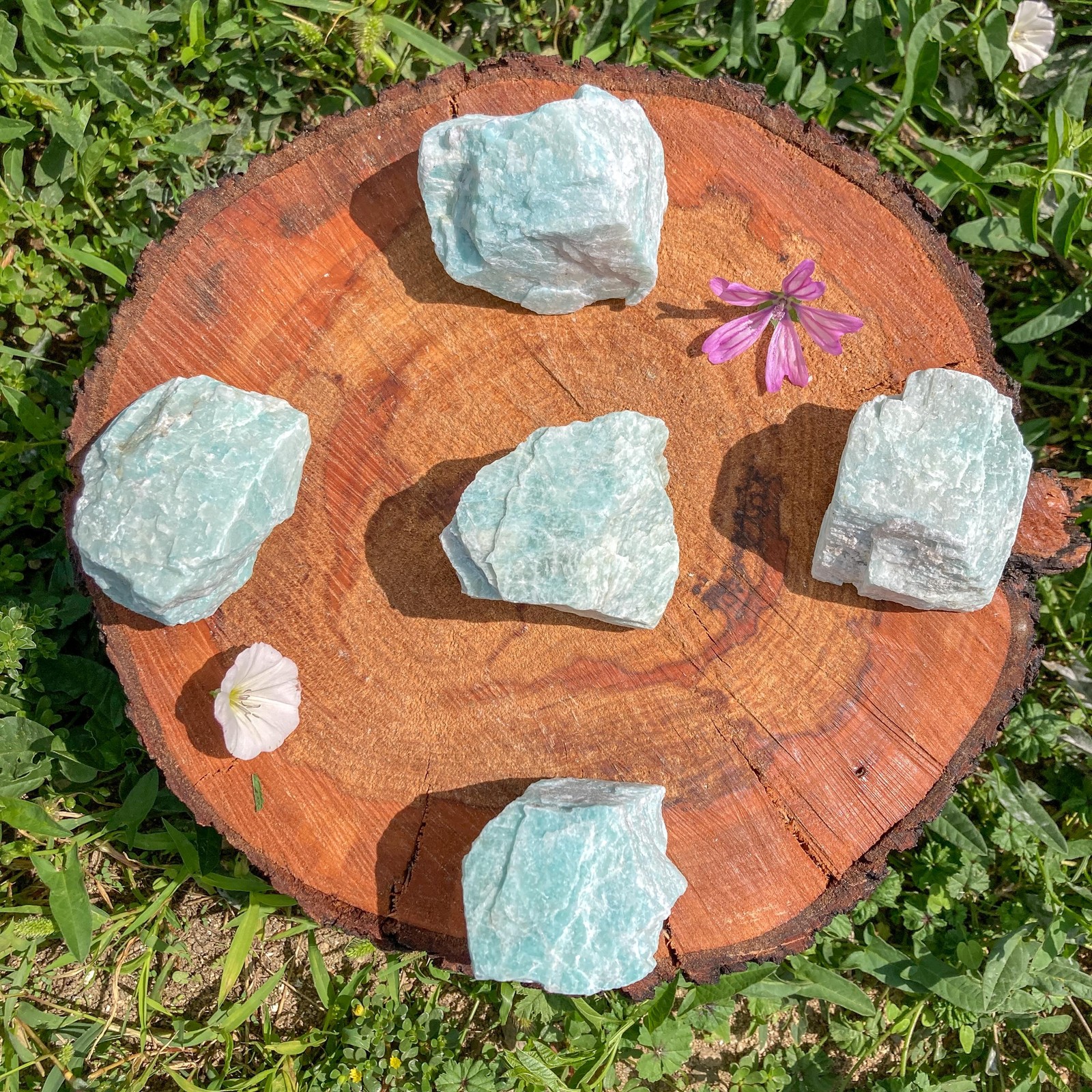 Raw Amazonite Crystal / Throat / March Gift / Communication / Clairvoyance