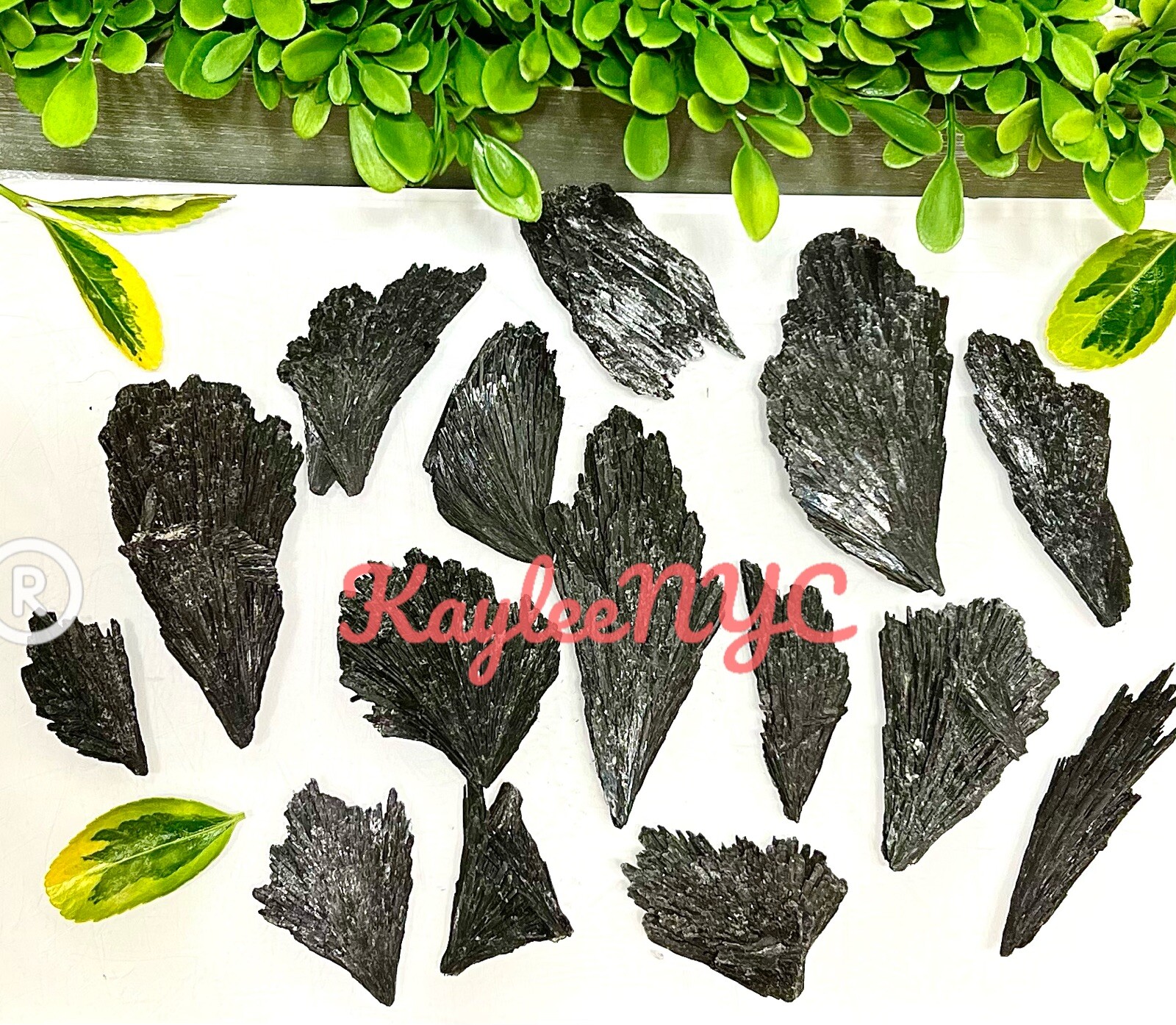 Wholesale Lot 1 Lb Natural Black Kyanite Raw Crystal Healing Energy