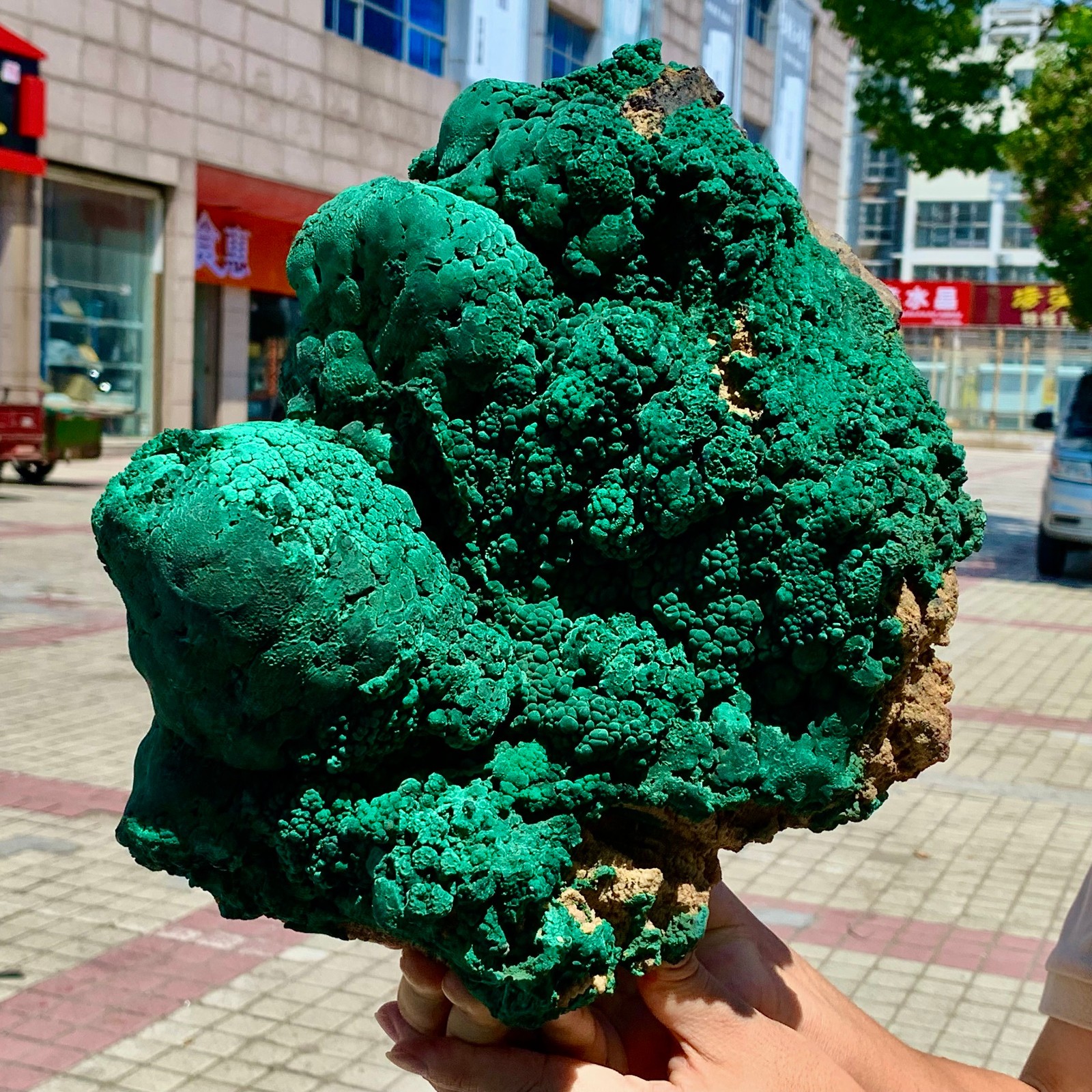 17.82LB Natural VELVET Malachite cat’s eye specimen crystal mineral-Congo