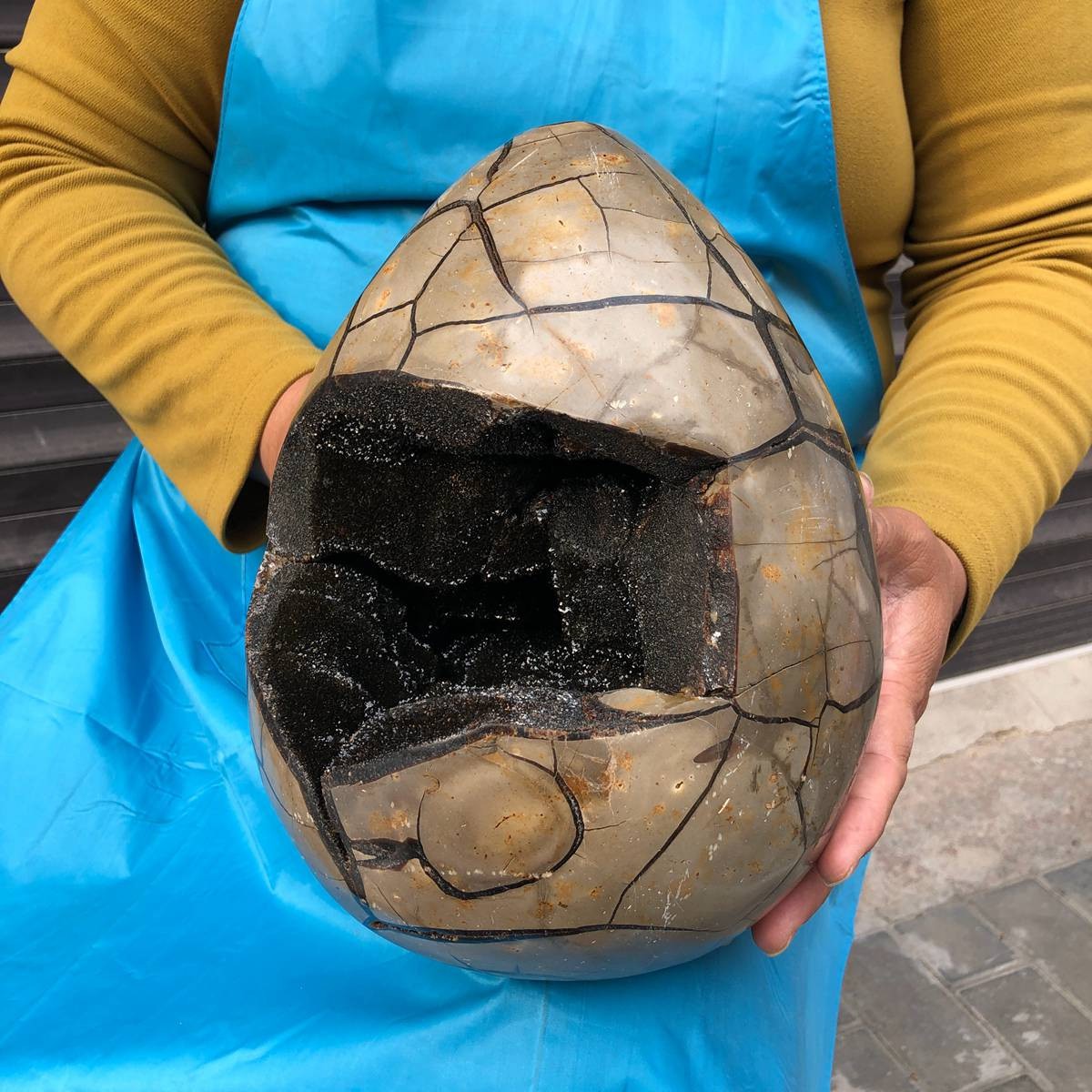 9120G Natural Turtle Back Stone Dragon Crystal Cave Crack Gem Healing 4352