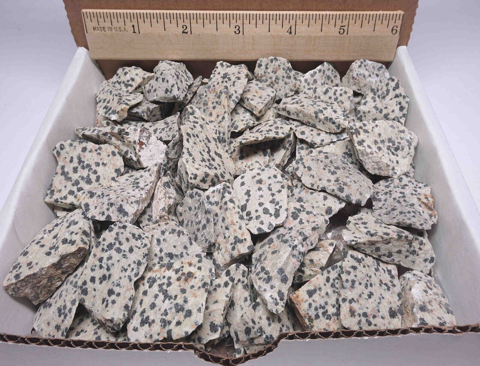 Dalmation Jasper Collection 1 LB Natural Black & White Mineral Specimens