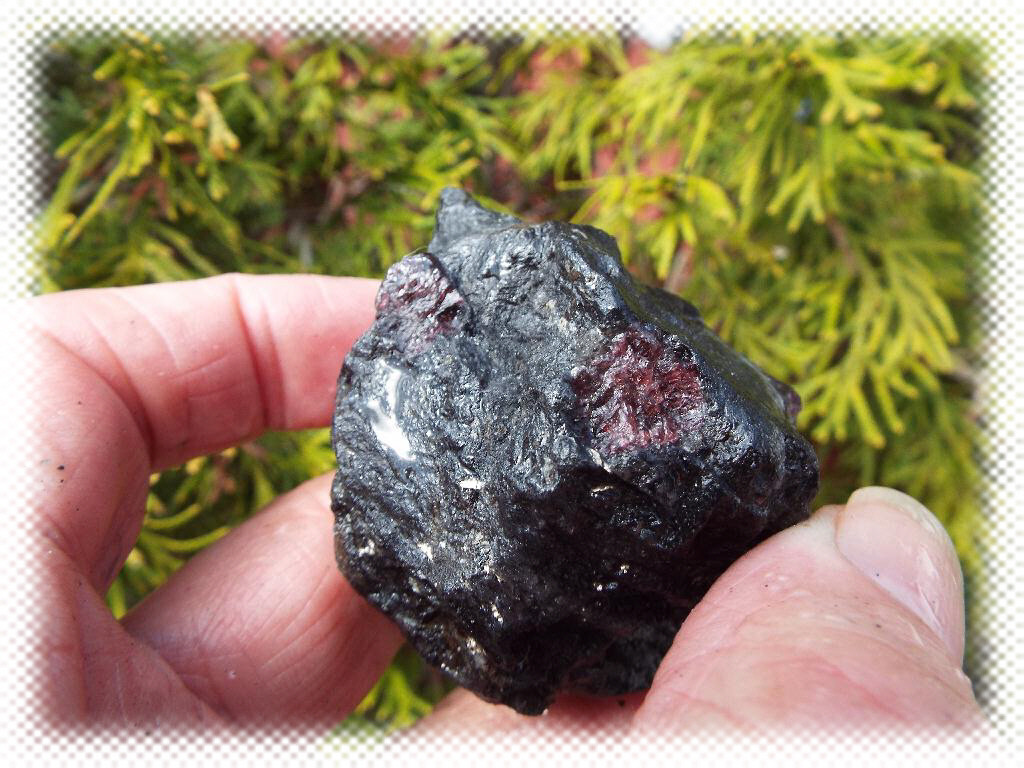 1 POUND LOT RED GARNET & MAYBE SOME STAUROLITE CRYSTALS IN BLACK MICA SCHIST