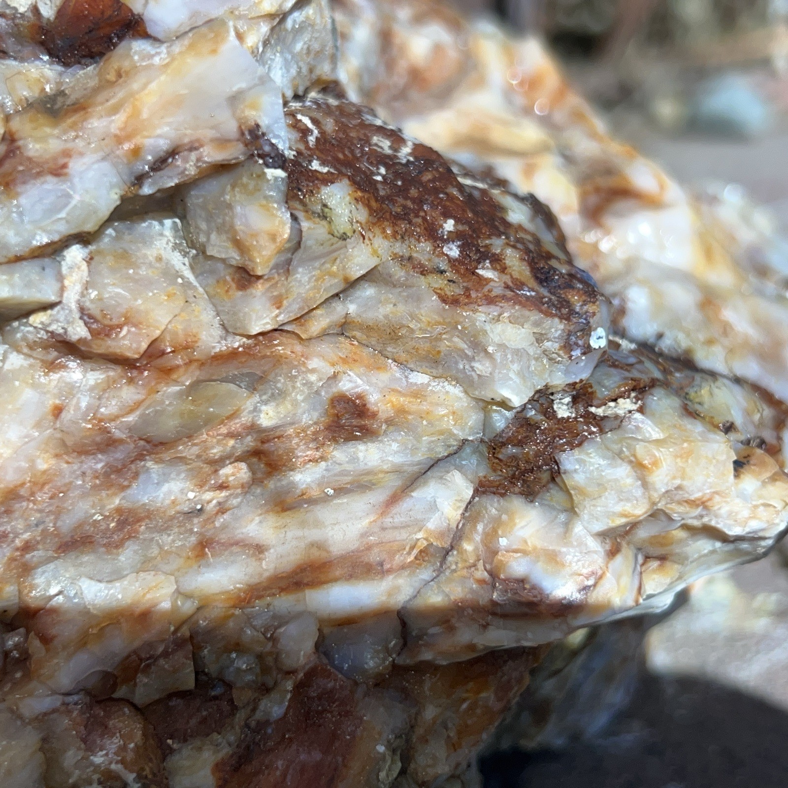 Agatized Opalized Petrified Wood 17 Lbs White Red Orange Fire Agate Throughout