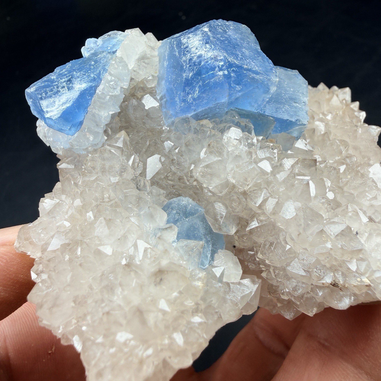 Blue Fluorite Crystals on Quartz Crystal Cluster / New Mexico *VIDEO*