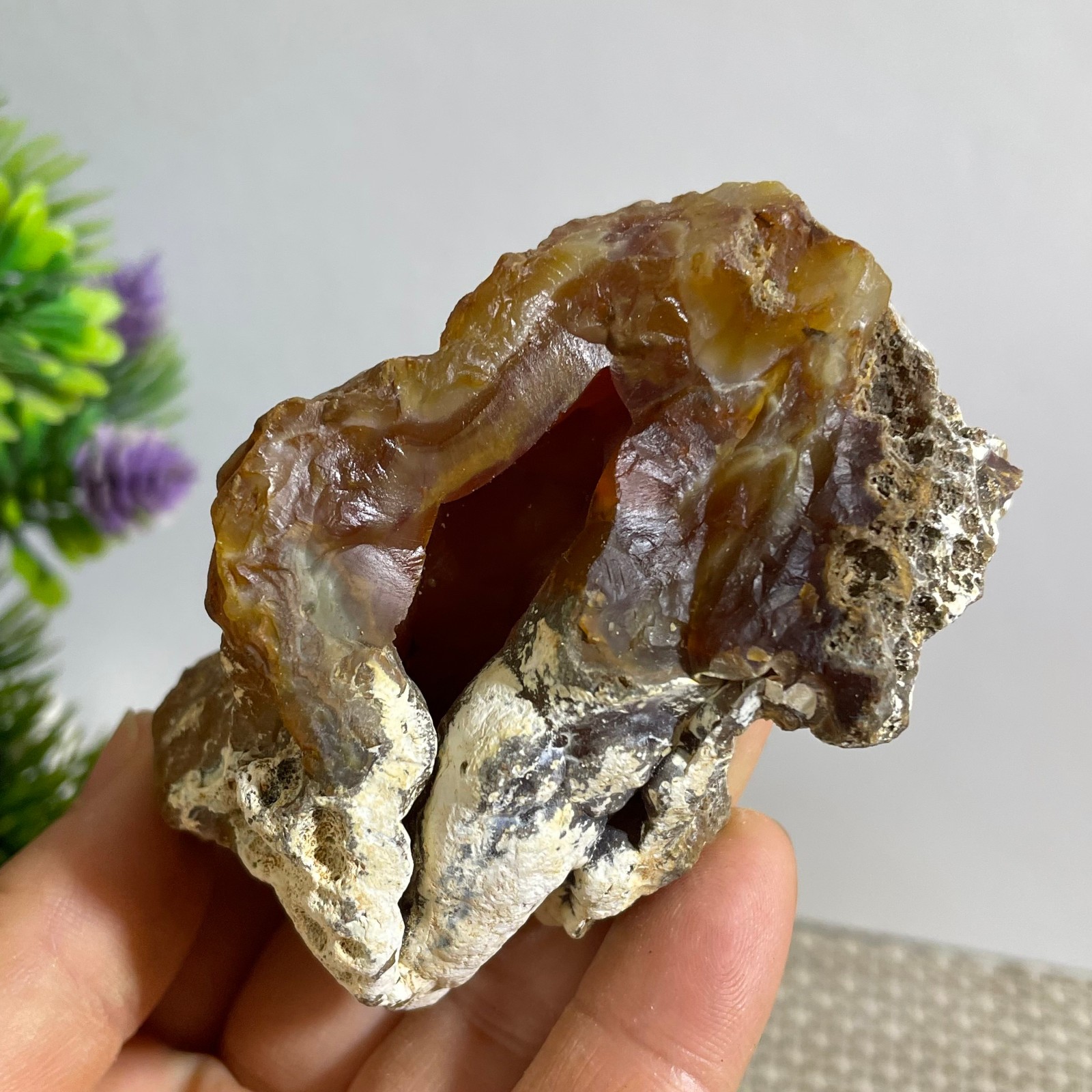 150g Bonsai Suiseki- Gobi Agate Eyes Stone-Rare Stunning Viewing