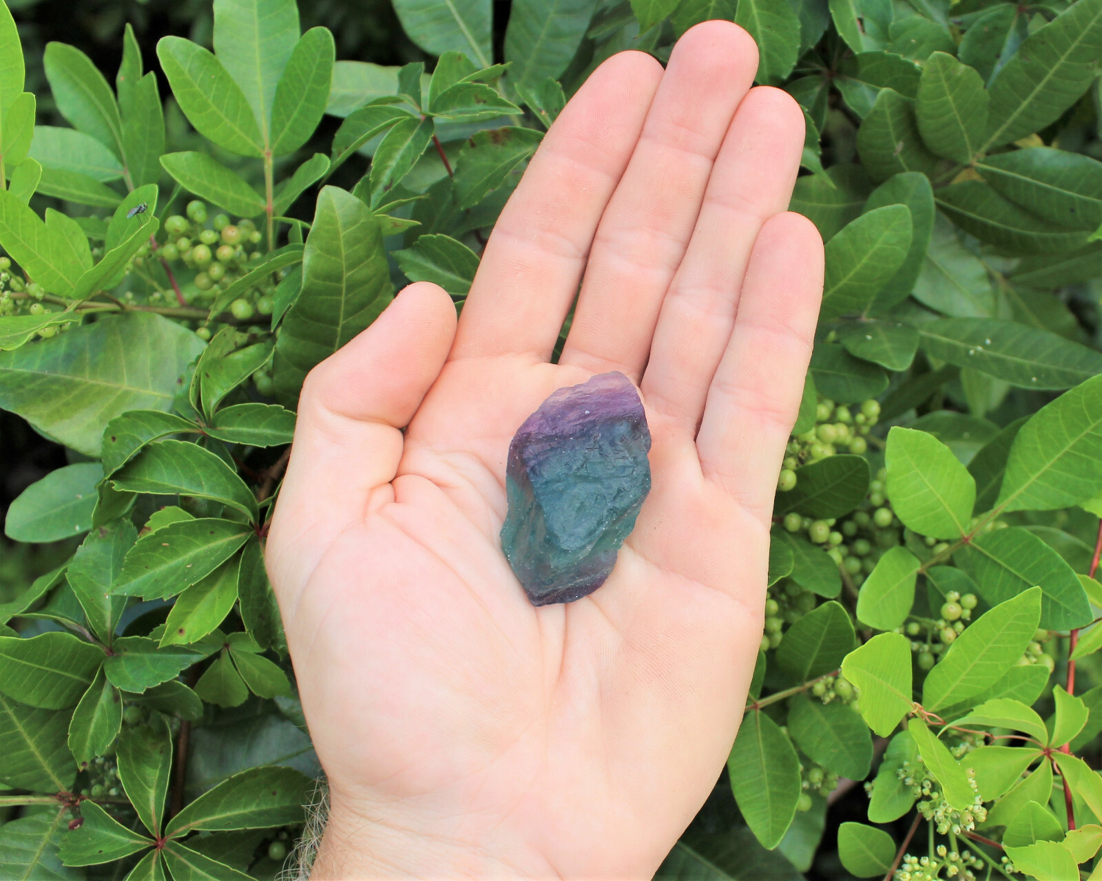 2 lb Bulk Lot Natural Rough Fluorite (Crystal Healing Raw Rock Mineral)