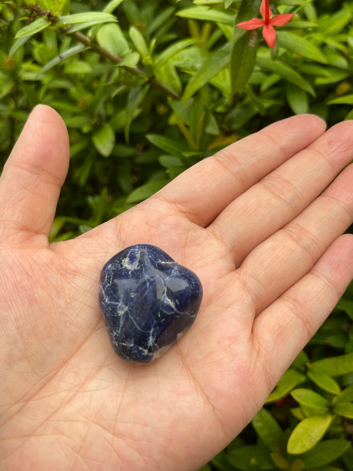 Grade A++ Sodalite Tumbled Stone, 0.8-1.25″ Tumbled Sodalite Stone,Pick a Weight