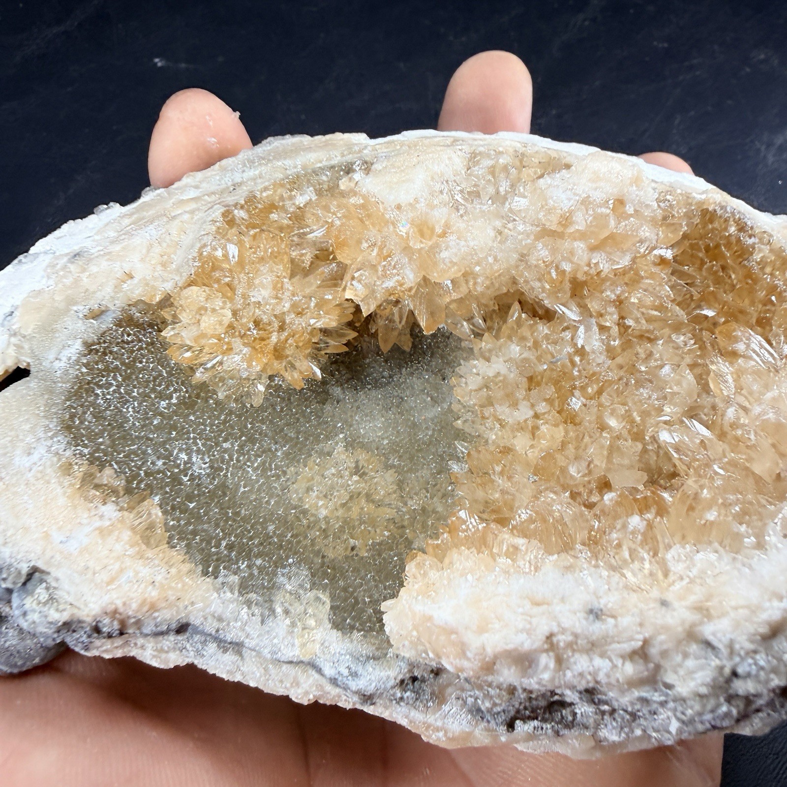 Golden Calcite Crystal Fossil Clam Shell Rucks Pit Florida *Video*