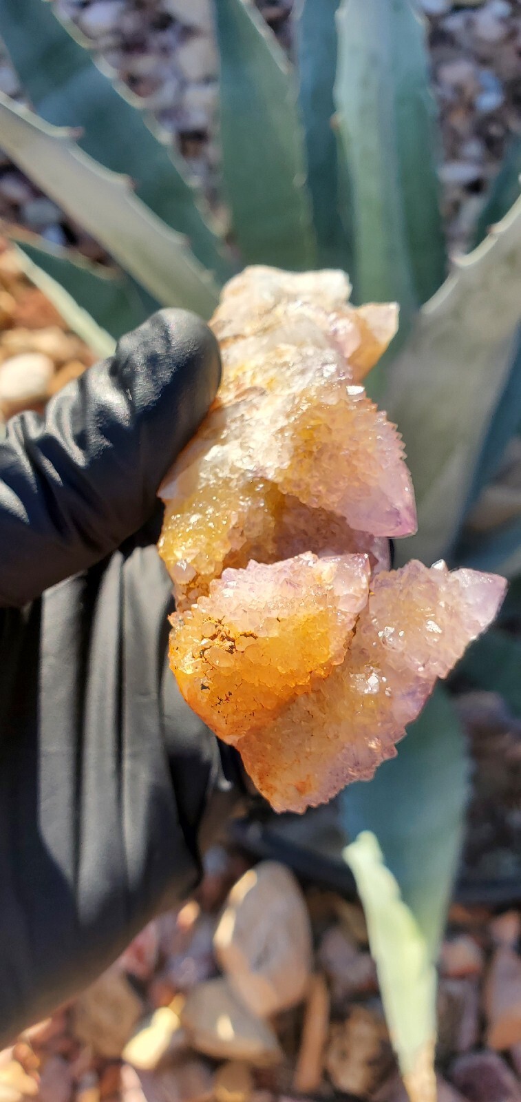 Amethyst Spirit Quartz Crystal Cluster Specimen 131g SQ131