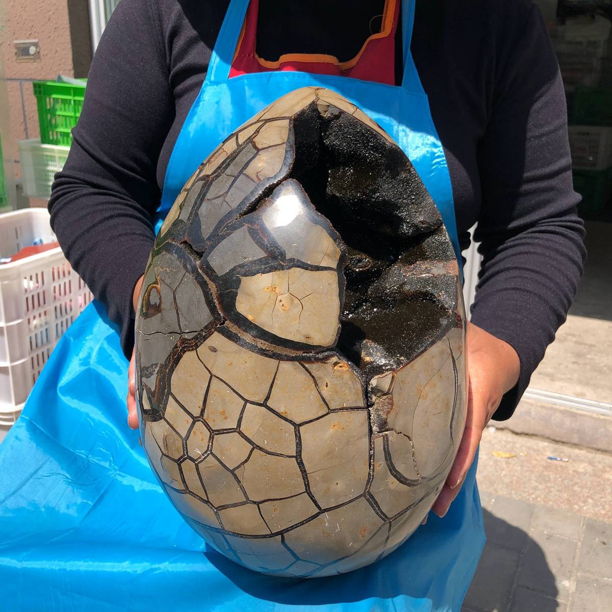 18KG Natural Turtle Back Stone Dragon Crystal Cave Crack Gem Healing 4333