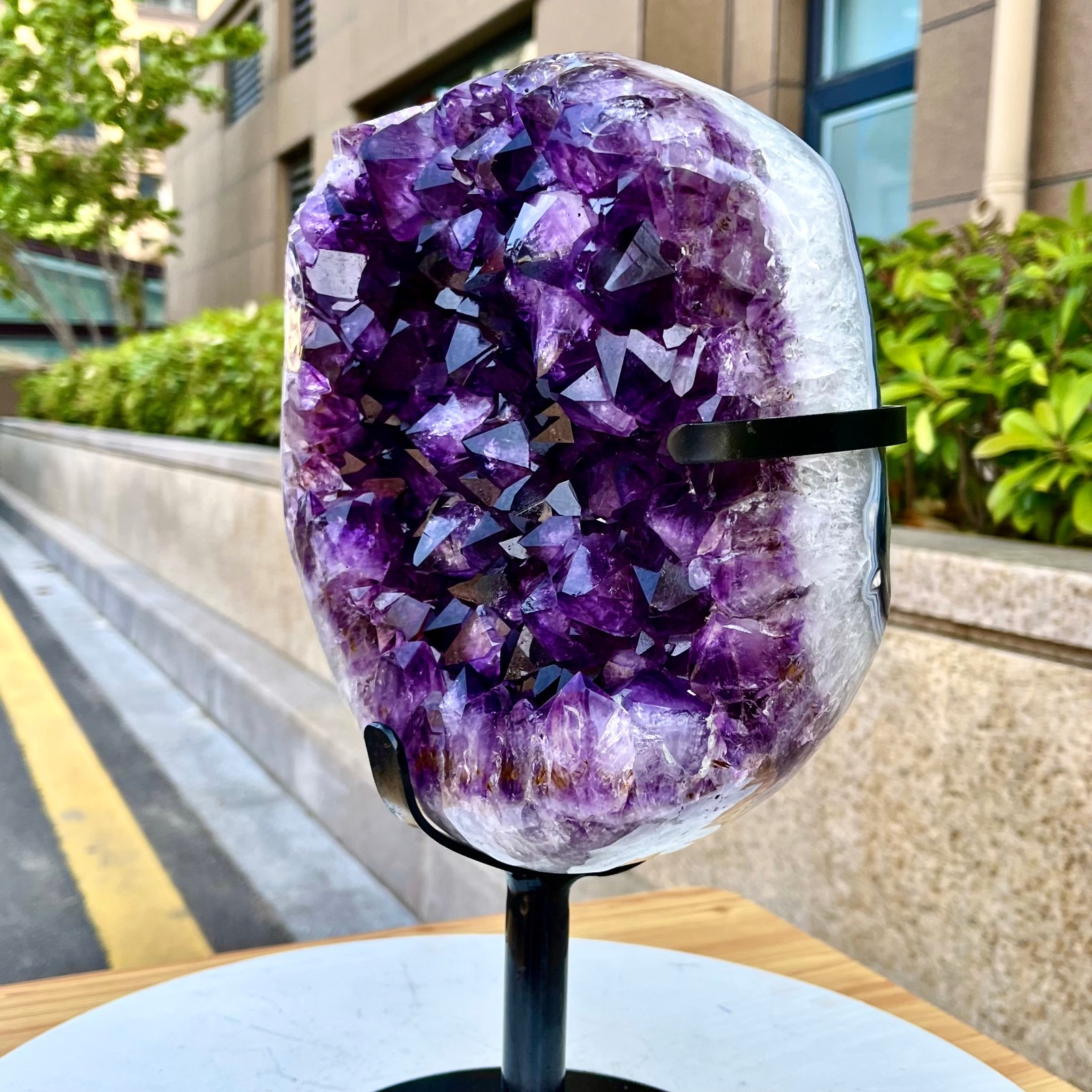 21.71LB Natural Brazilian high-grade amethyst thin skin large teeth