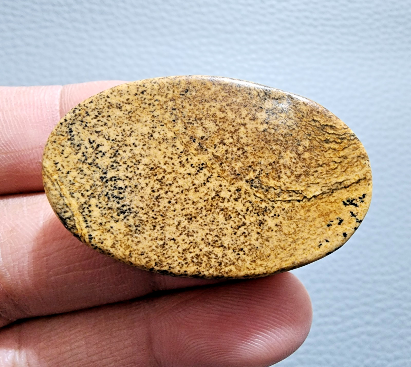 64ct Top Picture Jasper Cabochon Oval Gemstone – Natural Collector Jewelry Stone