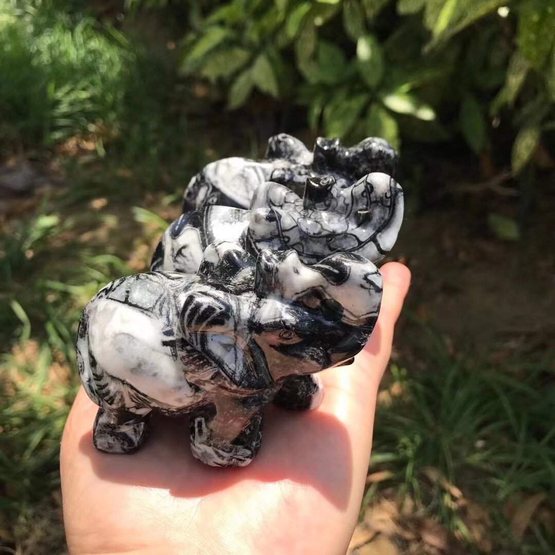 Natural Elephant 🐘 (Shell stone) quartz crystal Random 1PC
