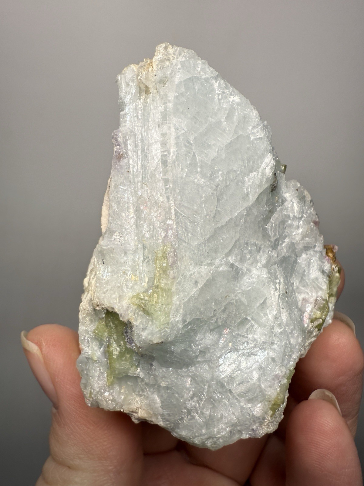 Watermelon Tourmaline on Matrix | Collector Mineral Specimen | Pakistan