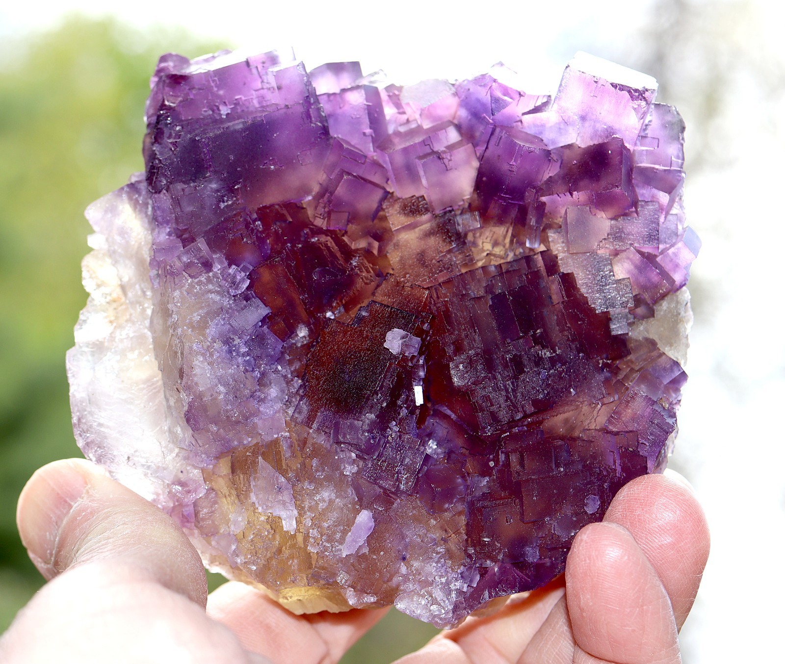 Excellent Fluorite. Cave in Rock, Illinois USA 4.25 inch across