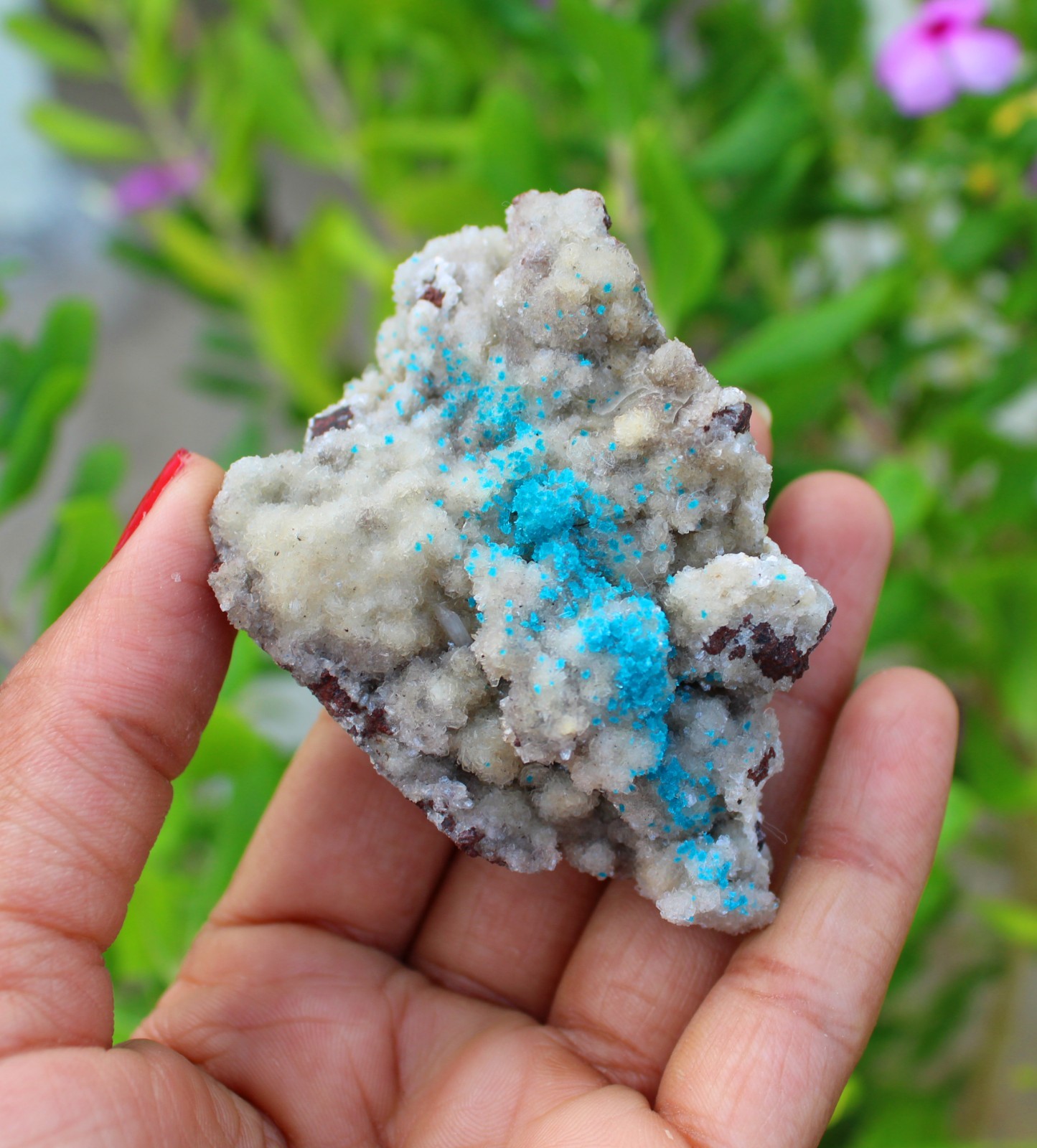 CAVANSITE TINY CRYSTALS FORMAT ON MATRIX MINERALS SPECIMEN