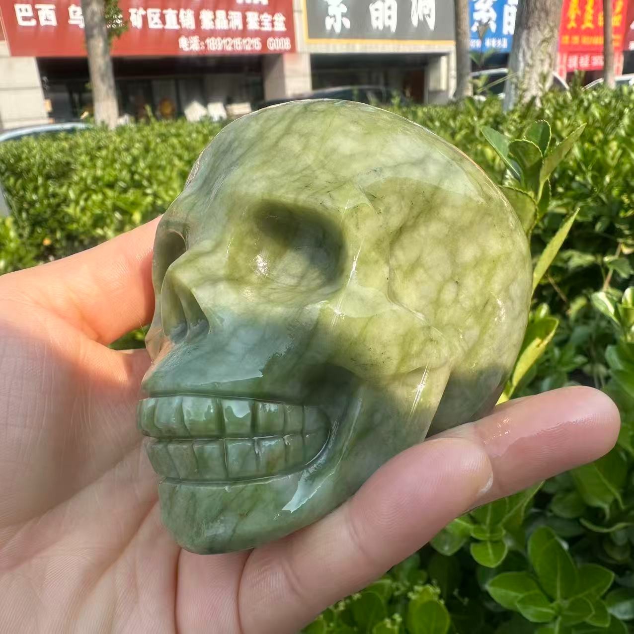 1pc Natural ophiolite carved Quartz Crystal skull Mineral Specimen