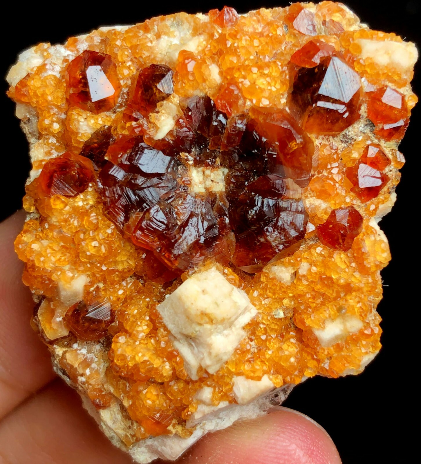 32g Brand new Rare Black SMOKY QUARTZ Crystal Point &Garnet Spessartine f260