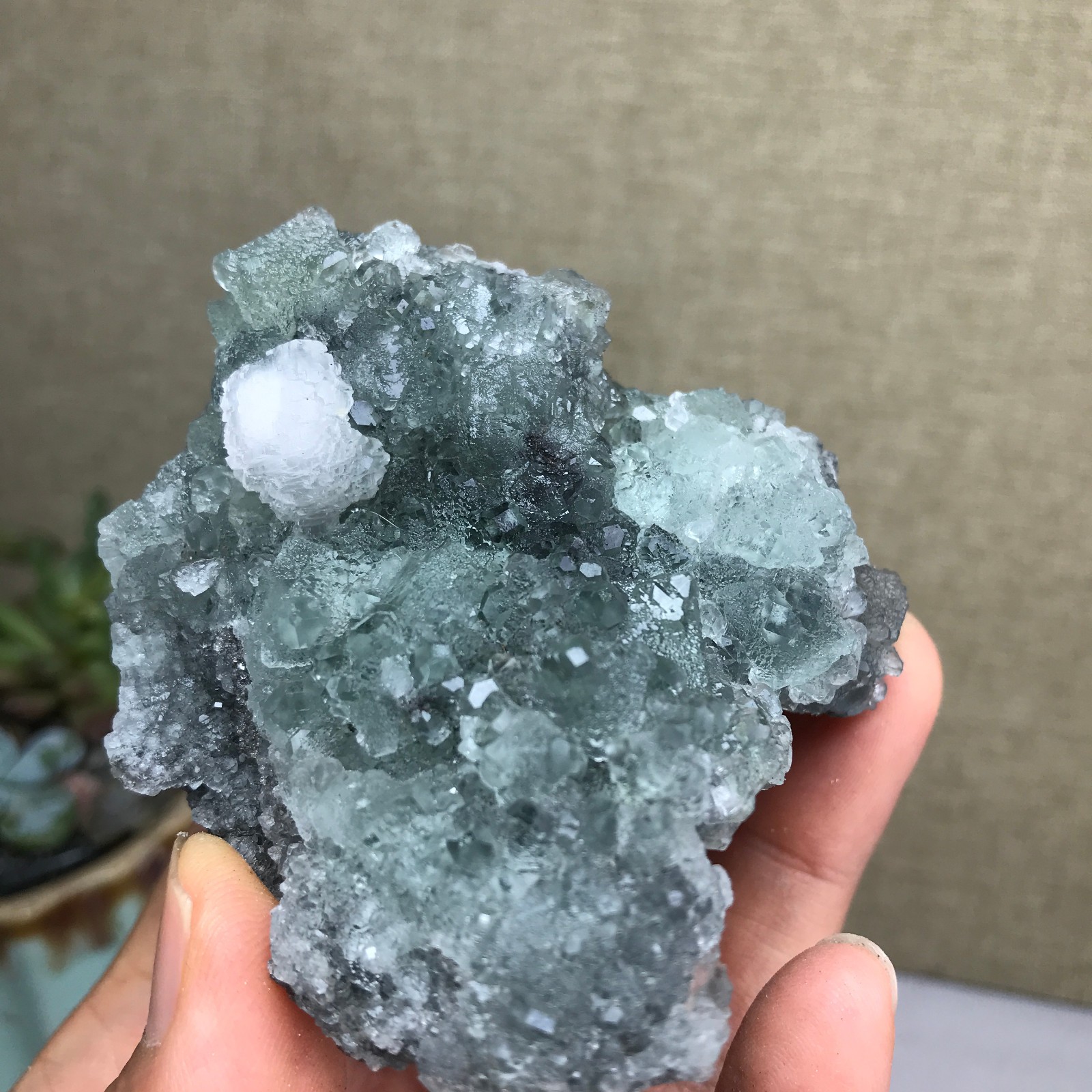 141g NATURAL Green Cubic FLUORITE paragenesis Crystal Cluster Specimen A4783