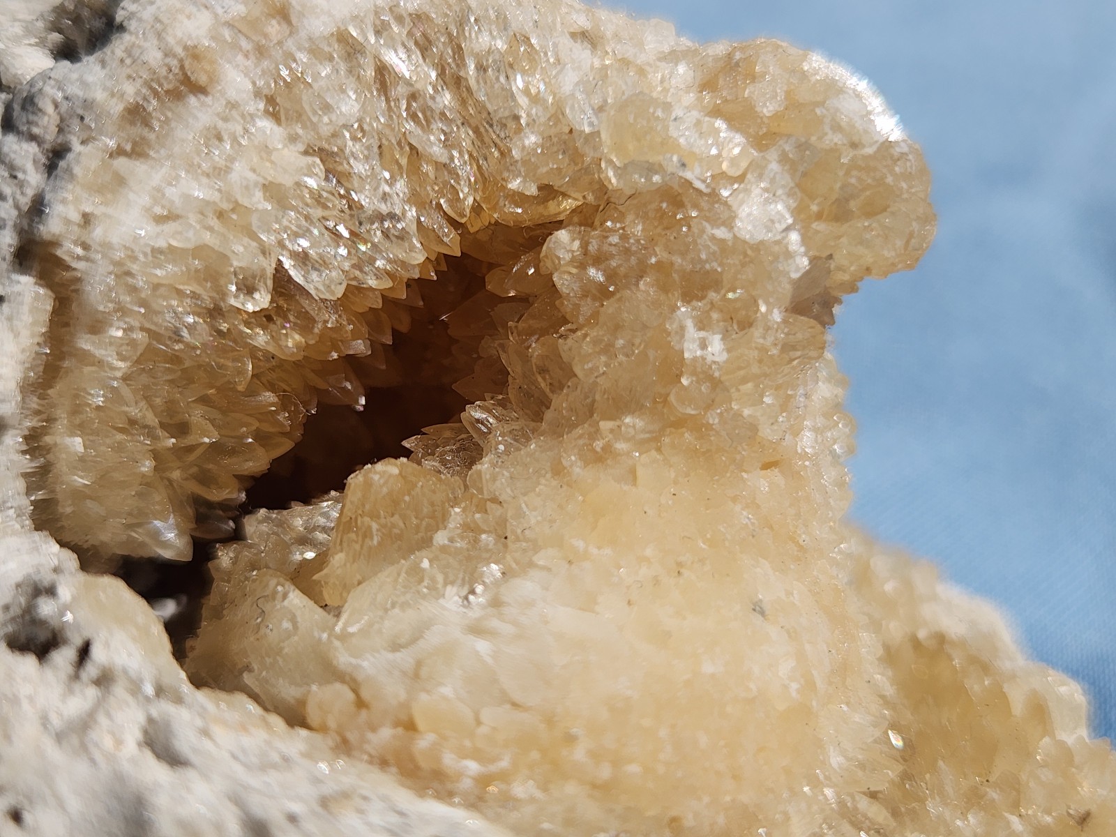 SET OF 3 Calcite CRYSTAL WHELK Shells Fossil Rucks Pit Florida dogtooth LOT