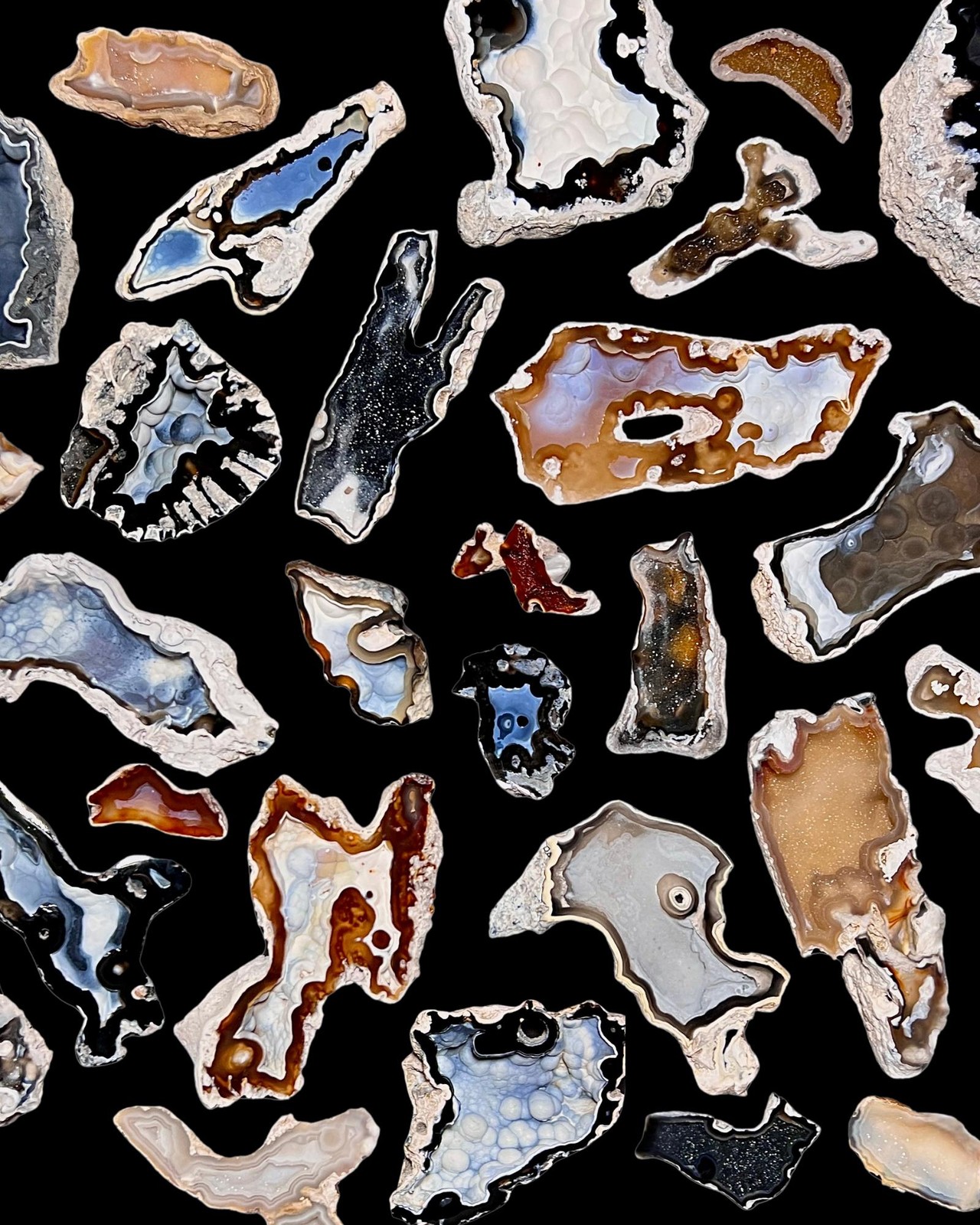 #015 – Cut & Polished Agatized Coral