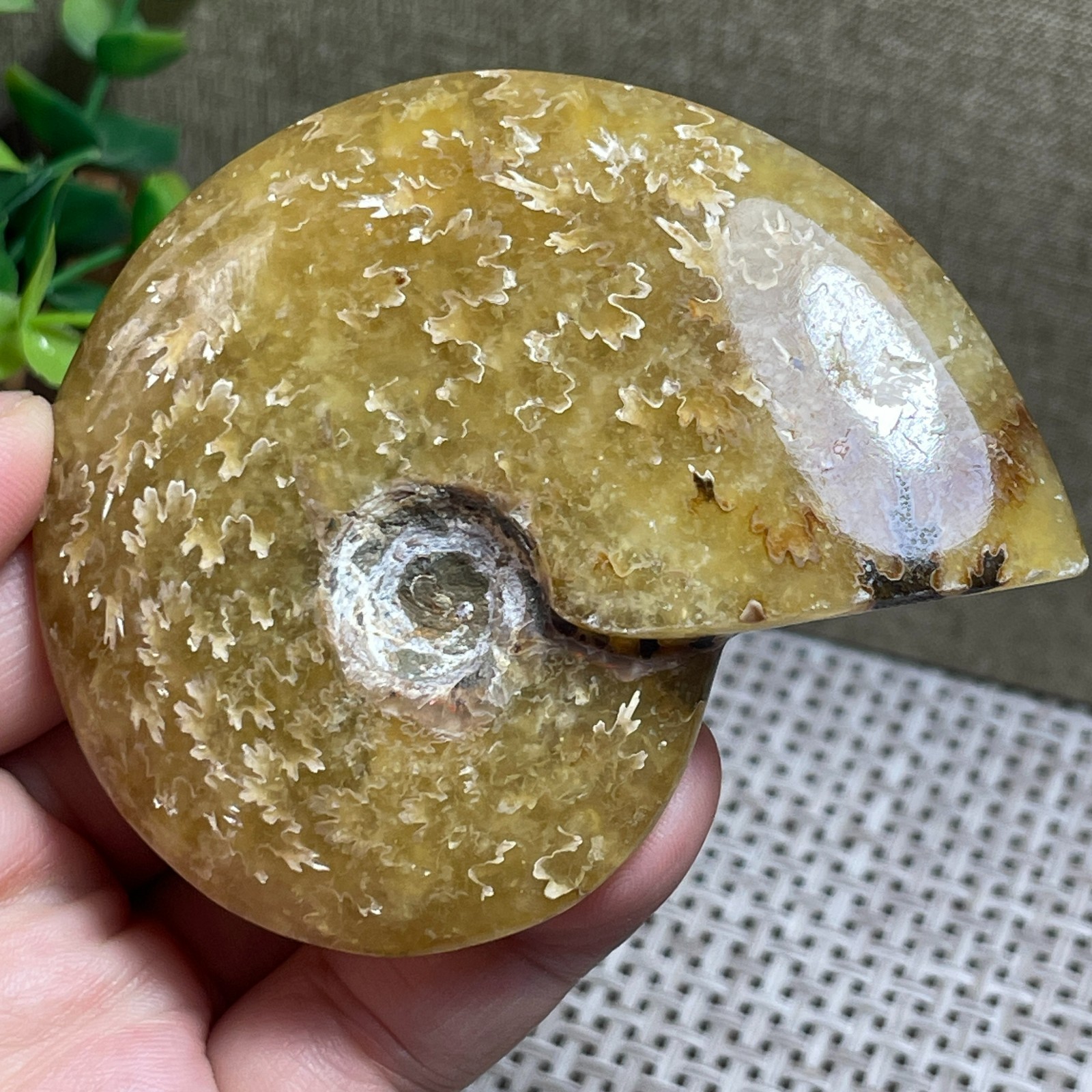 Madagascar Polishing Pretty Pattern Stone sculptor decoration 112g