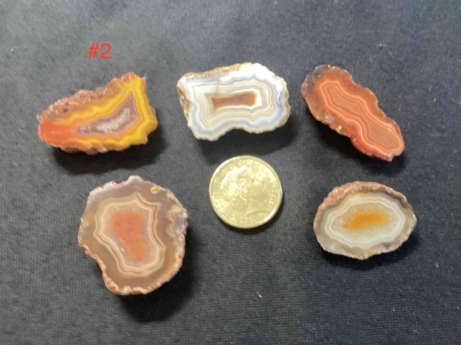 Malawi Agate Parcels – 5x PREMIUM Alimajo Polished Halves (30mm)