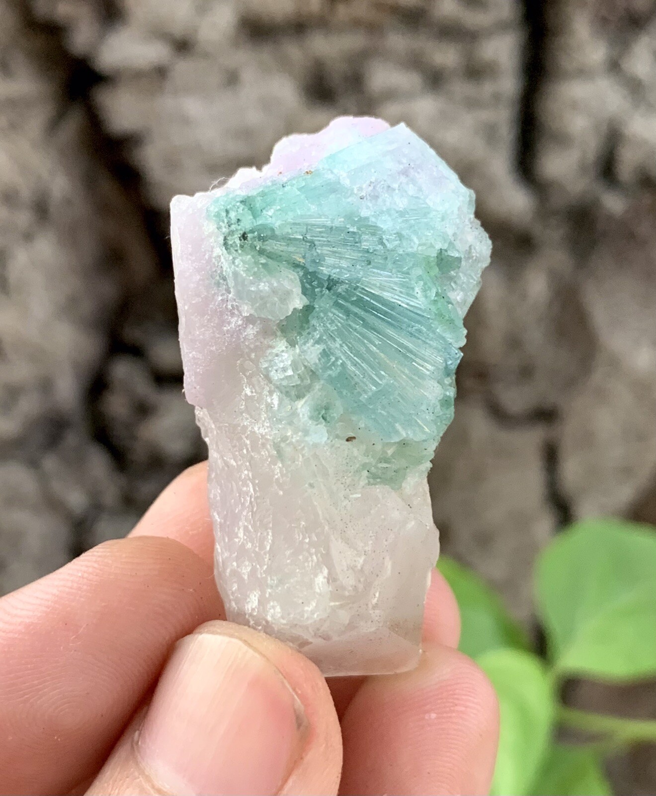 140 Cts Tourmaline Crystal’s With Quartz From Afghanistan.