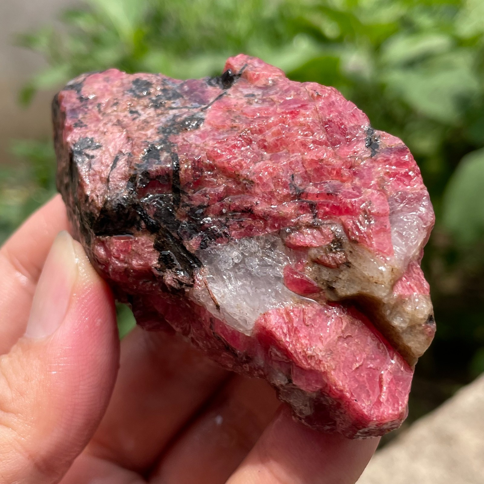 166g Small Raw Ore Red Black Rhodonite Quartz Gemstone Mineral Specimen