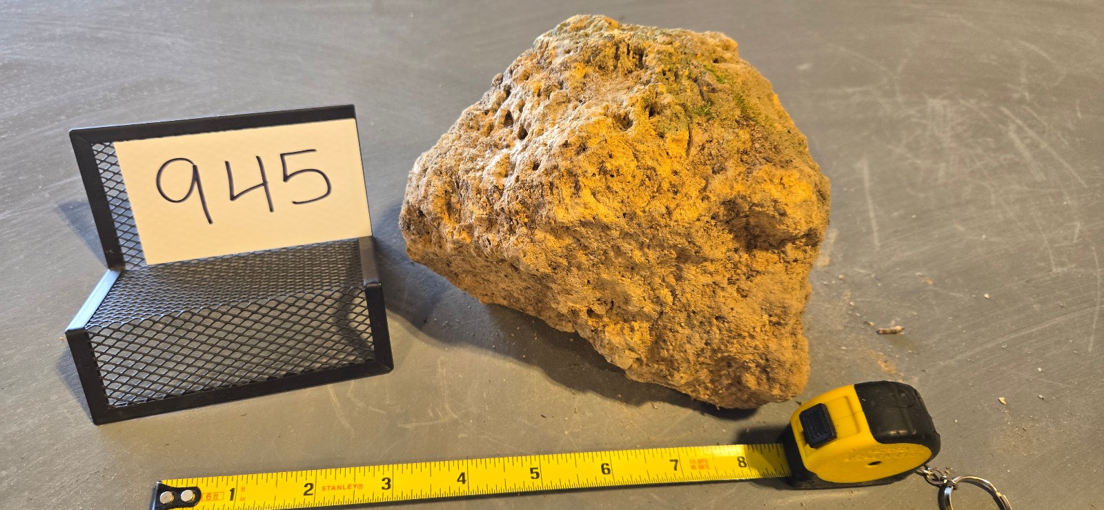 7″ Medium Pumice Stone Floating Natural Rock Carnivorous Succulent Garden #945