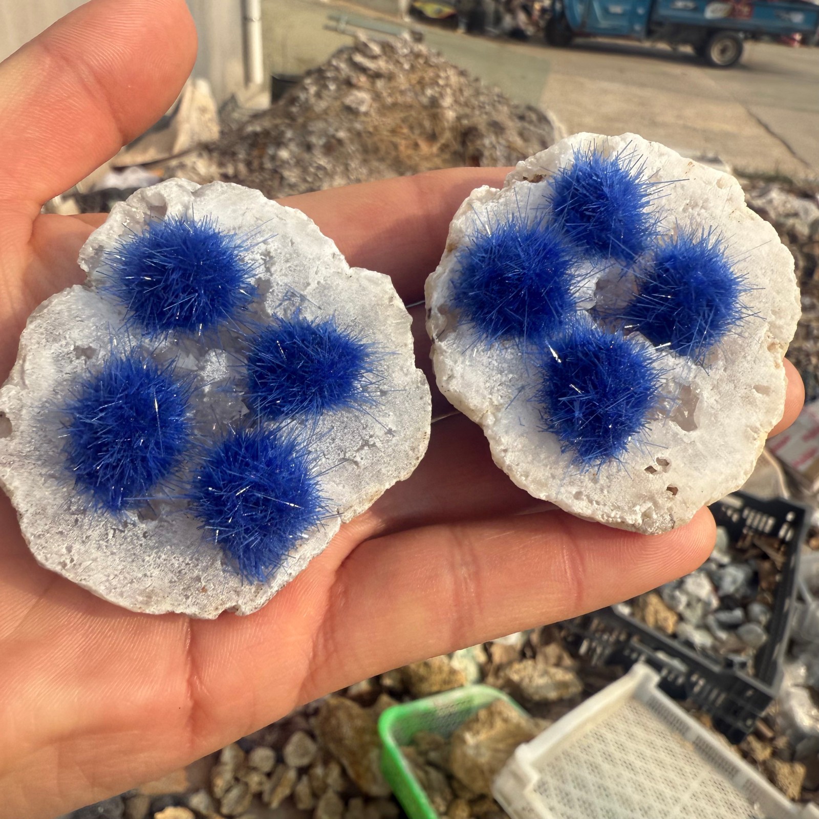Raw Rough Dandelion Zeolite Cluster Blue Cave Quartz Crystal Decoration 10pc