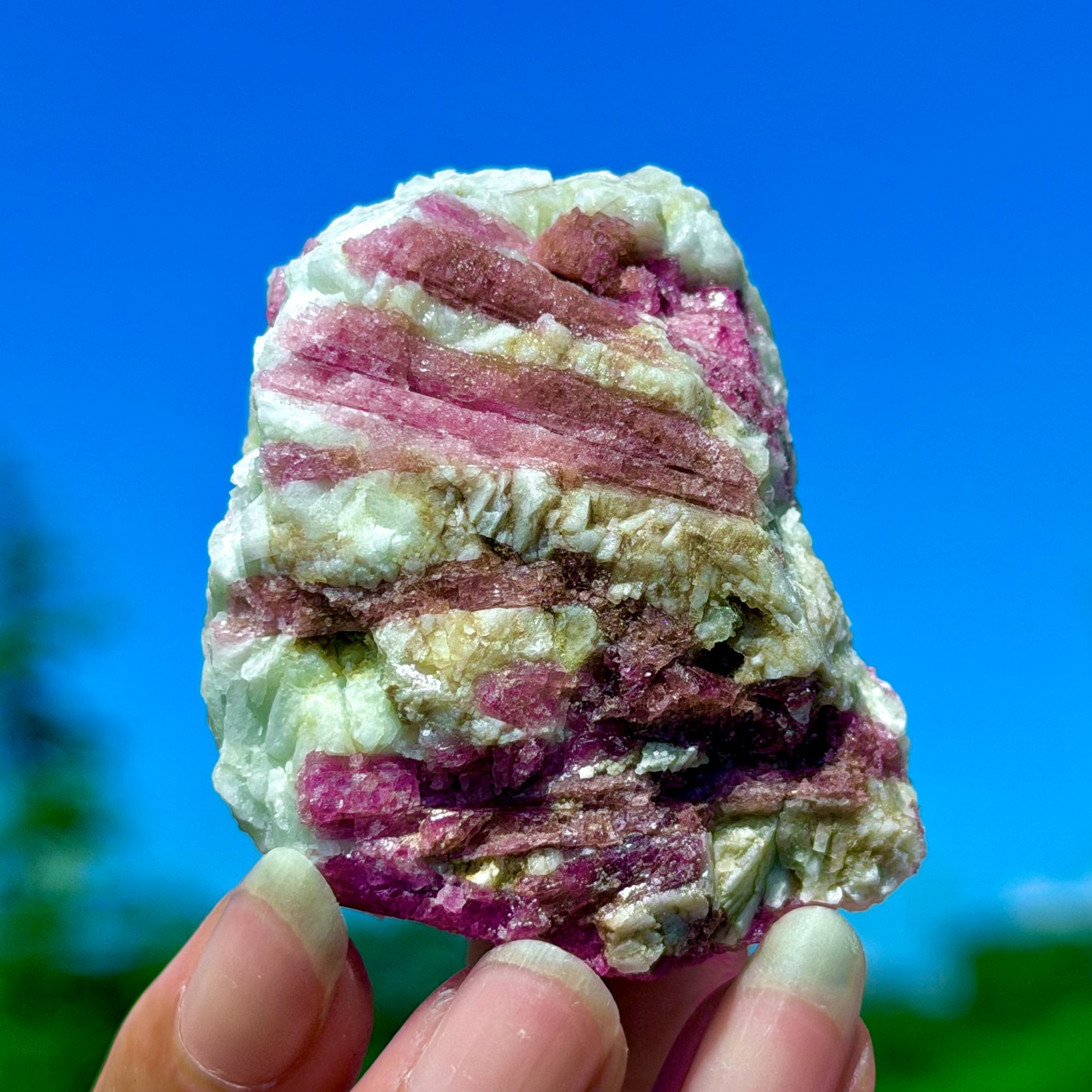 102G Natural Rubellite Tourmaline Quartz Crystal Cluster Mineral Specimen