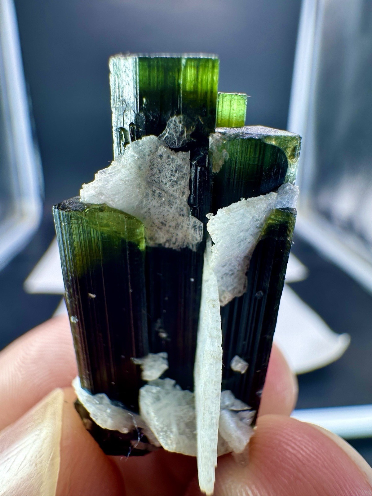 50 CTs Beautiful Green Cape Tourmaline Crystal With Matrix Specimen @Pakistan