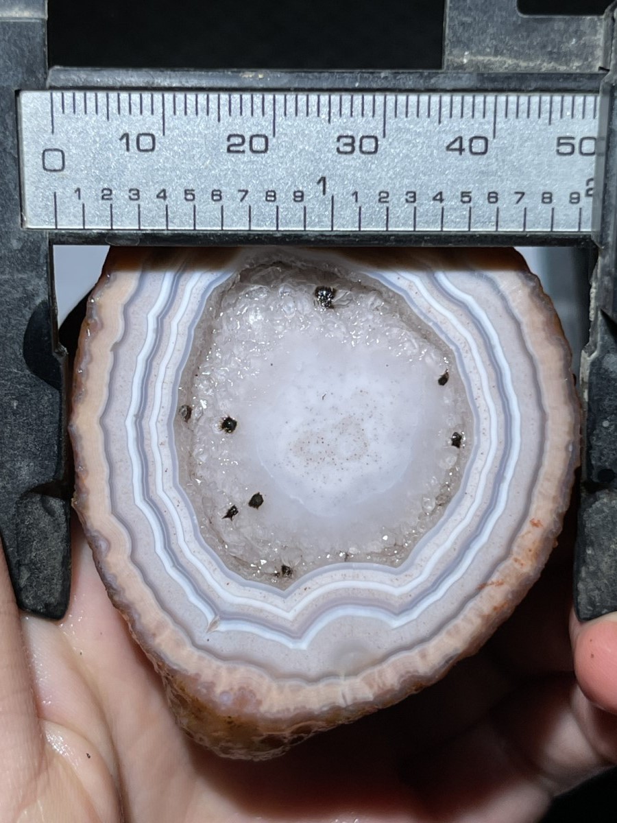 Rough Unpolished pink China Agate Achat Nodule Specimen Xuanhua Hebei 201g 51