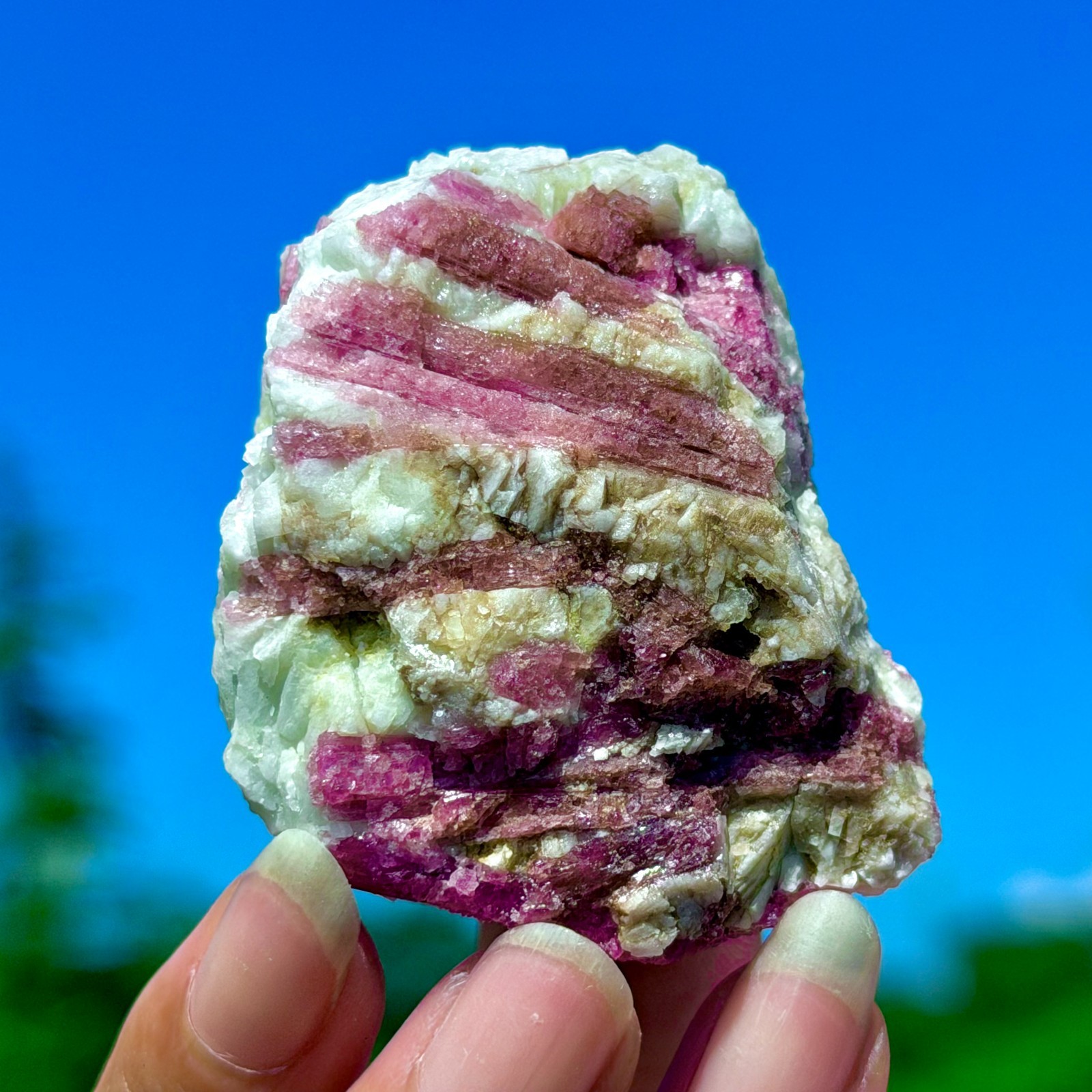 102G Natural Rubellite Tourmaline Quartz Crystal Cluster Mineral Specimen
