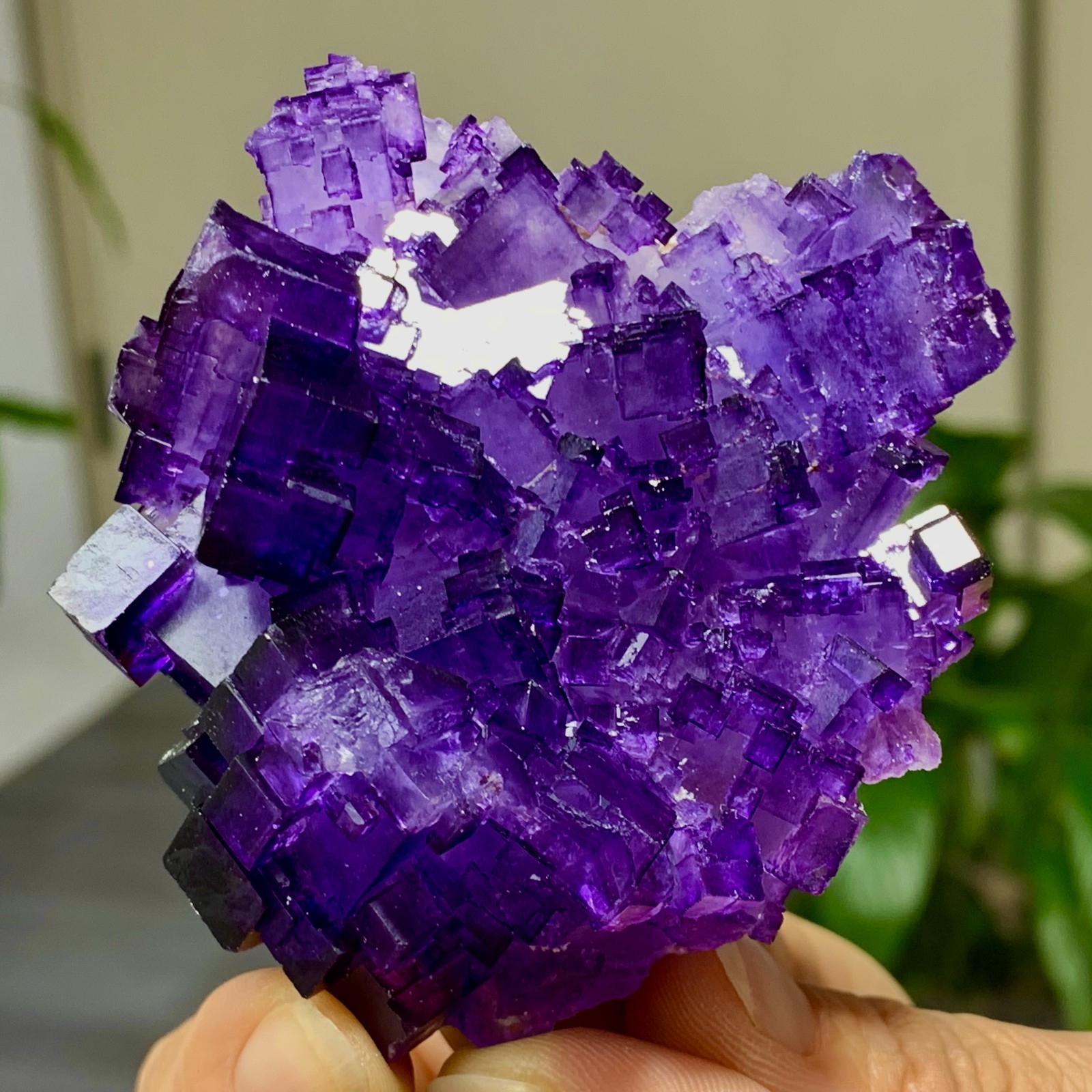 133G Natural purple framed cubic fluorite mineral specimen/Inner Mongolia*