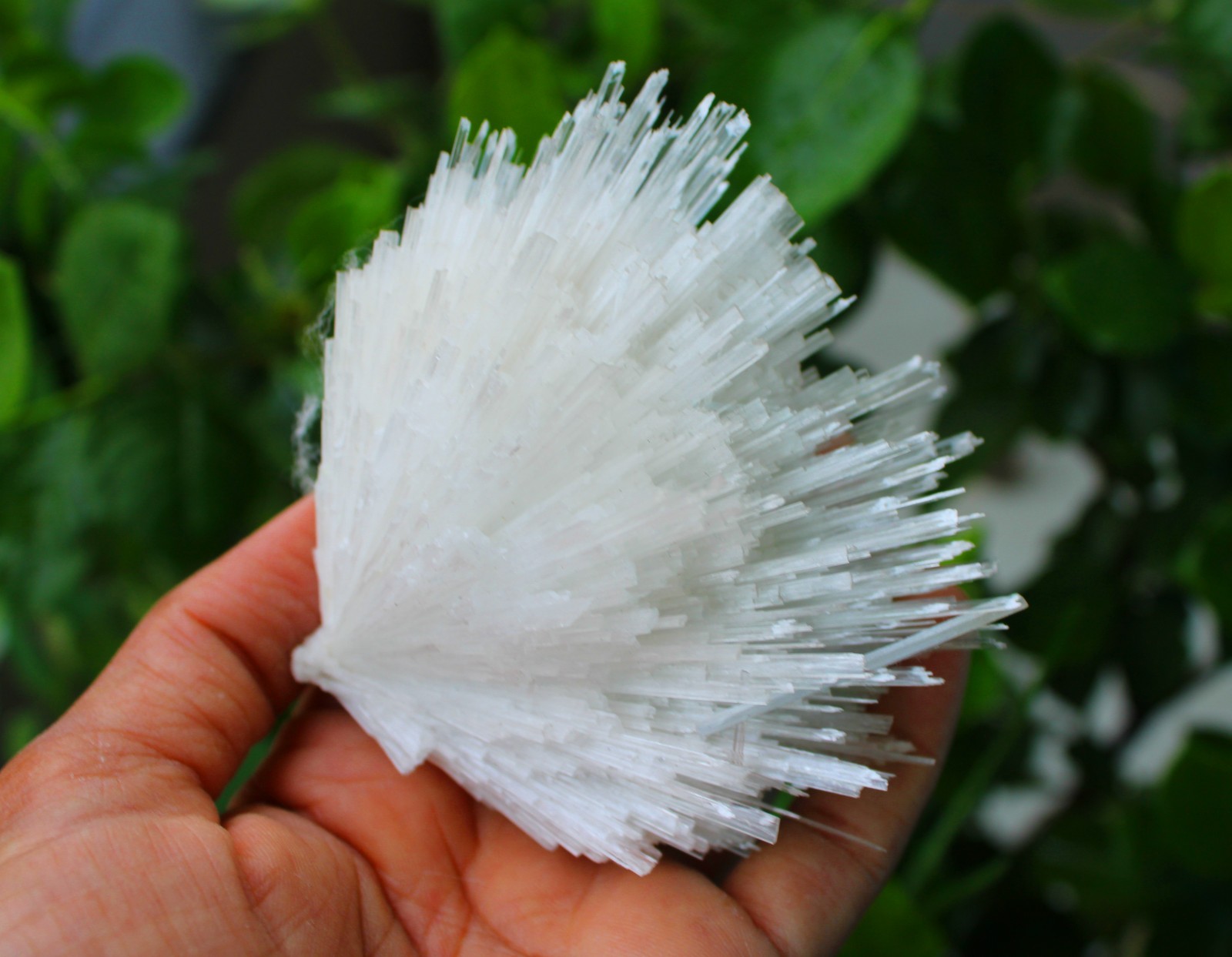 SCOLECITE FORMATION MINERALS SPECIMEN