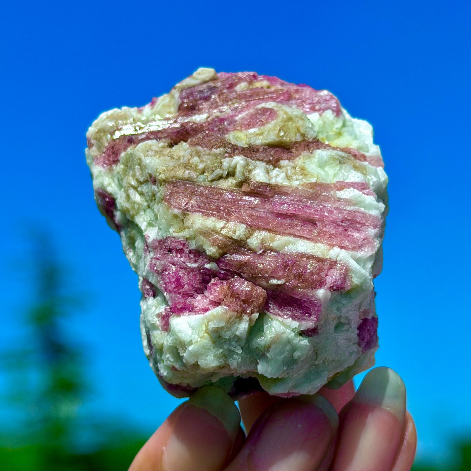 102G Natural Rubellite Tourmaline Quartz Crystal Cluster Mineral Specimen