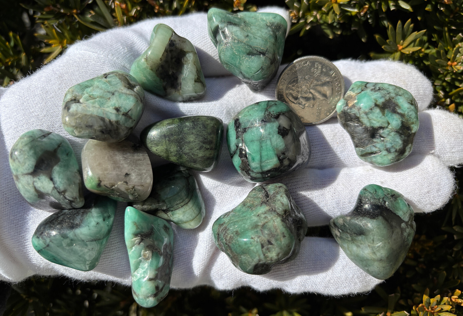 USA SALE 335g LOT EMERALD/GREEN CHERT/BIRD’S EYE RHYOLITE TUMBLES TUMBLED