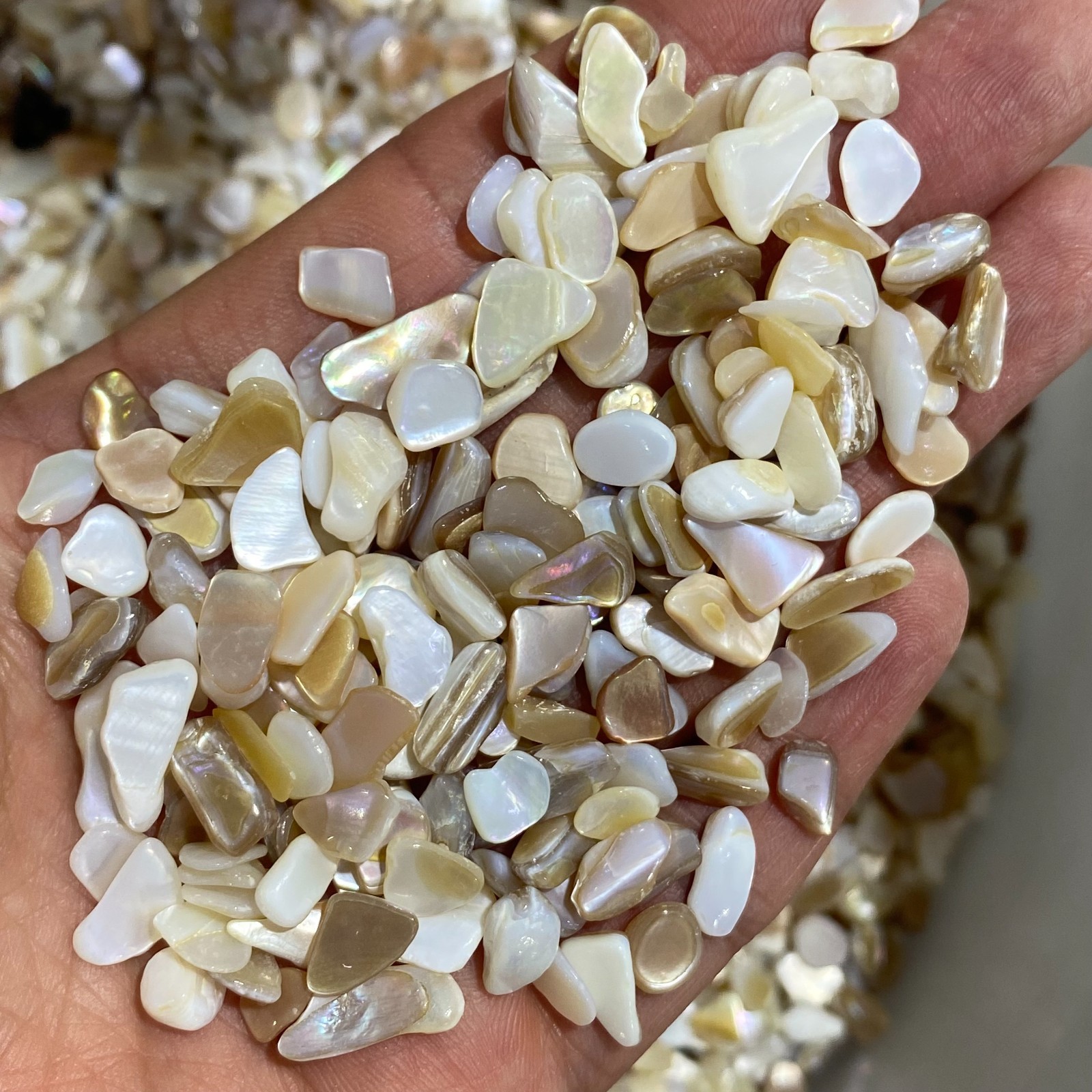 200g Natural White shell Pieces Chips Decorations Healing 5-7mm
