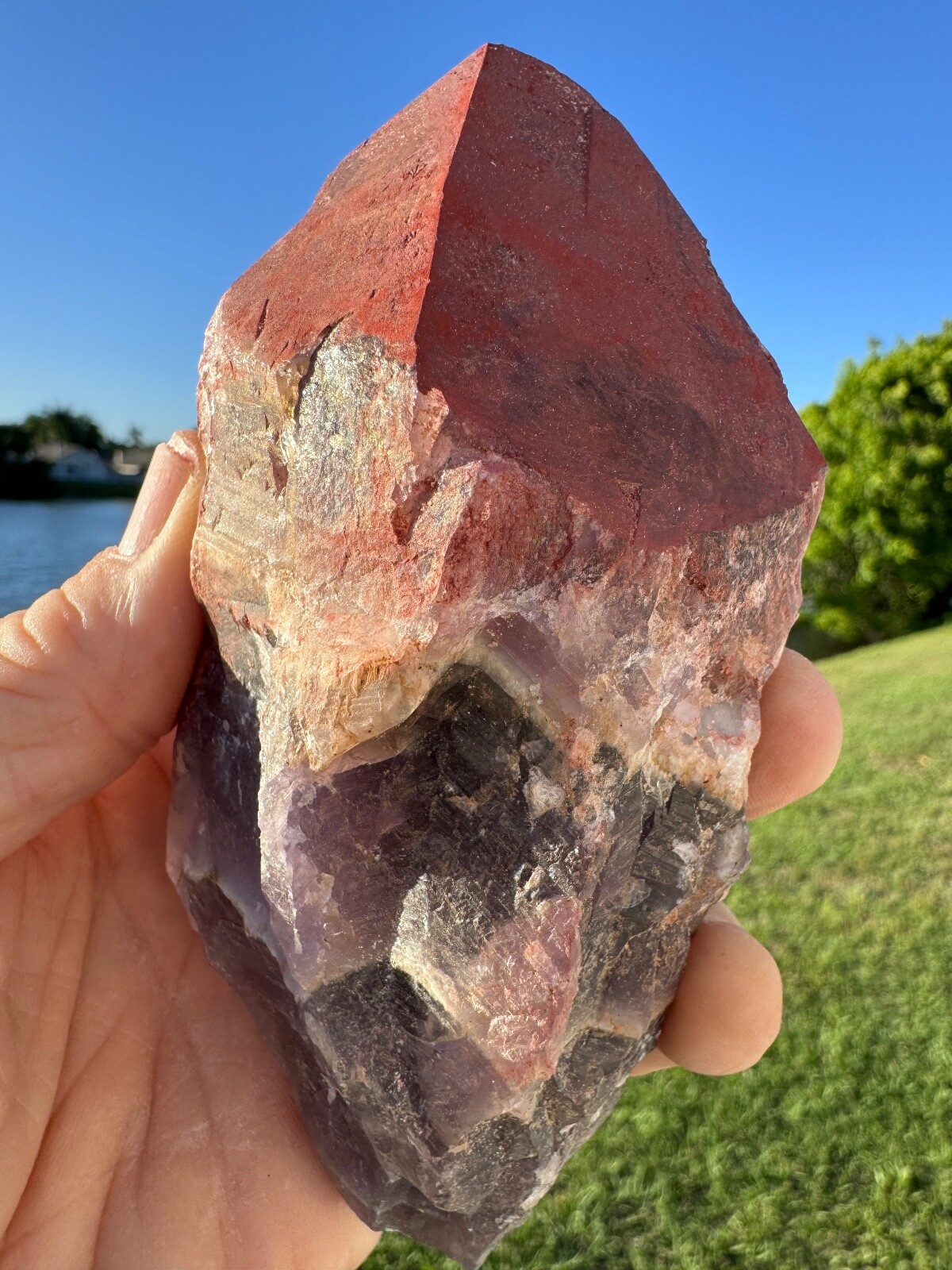 Large Fresh Auralite 23 Crystal Red Cap from Canada 452 grams 5.5″