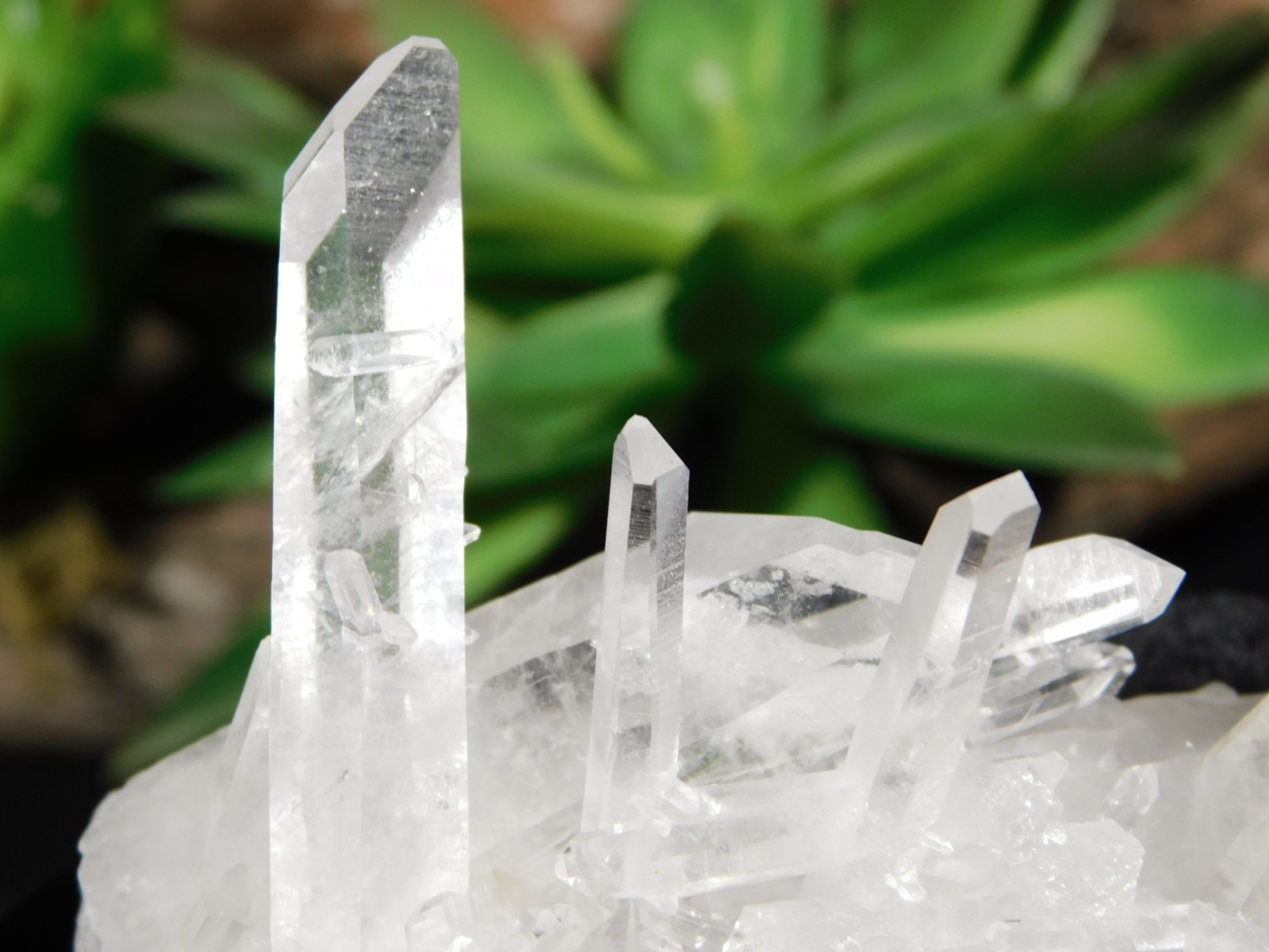 VERY TRANSLUCENT! Quartz Crystal Cluster Collier Creek ARKANSAS 61.5gr