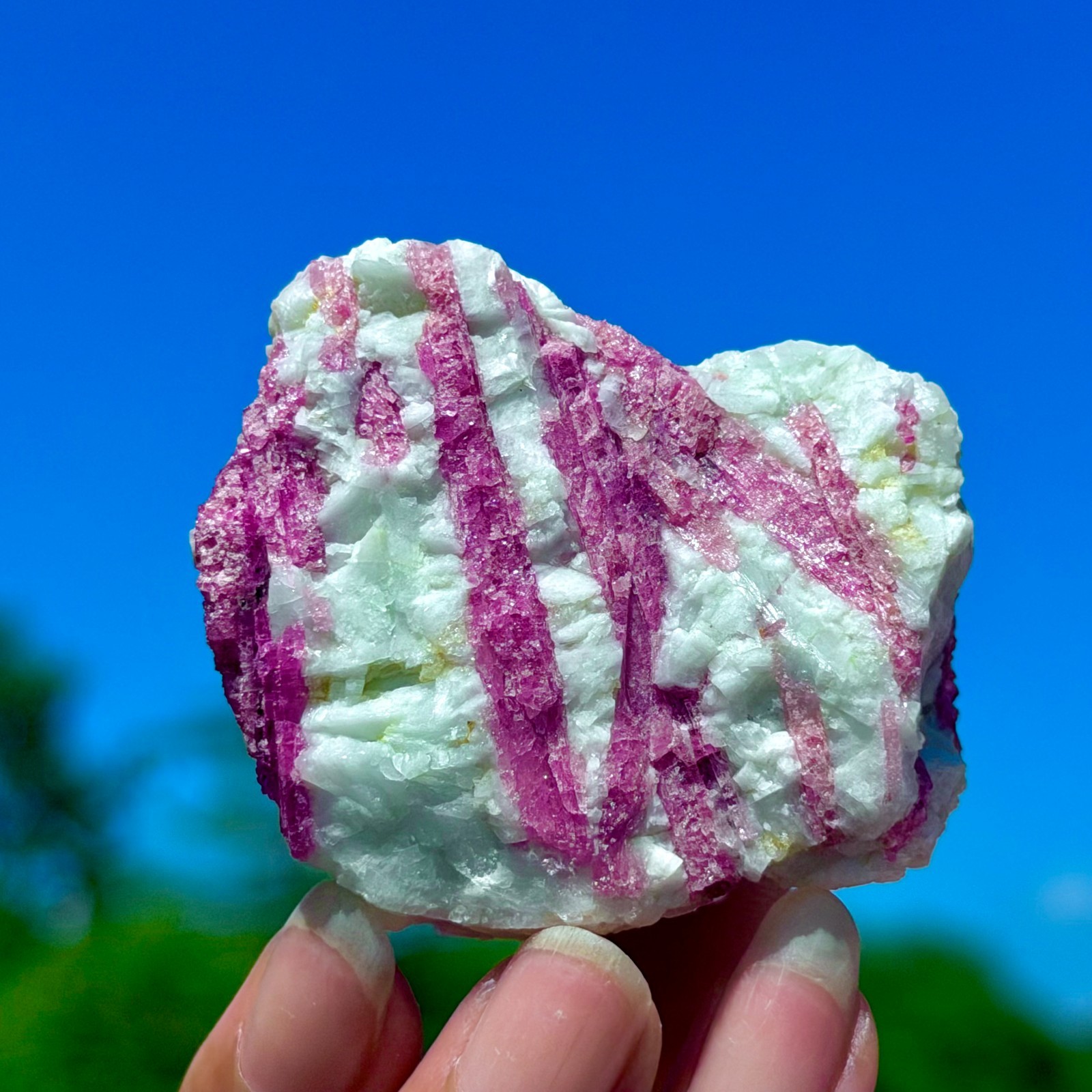 102G Natural Rubellite Tourmaline Quartz Crystal Cluster Mineral Specimen