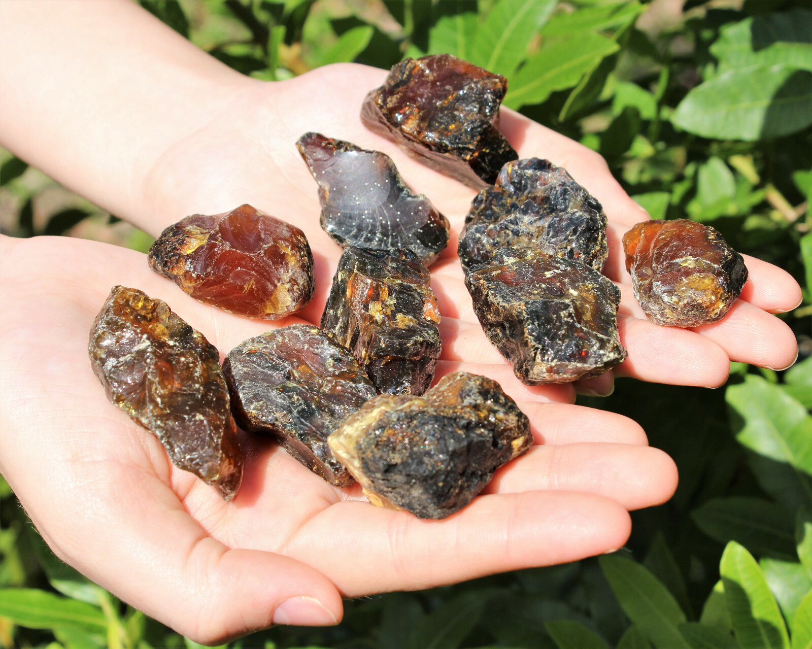 Indonesian Raw Amber – Choose How Many (Natural Rough Black Amber Crystals)