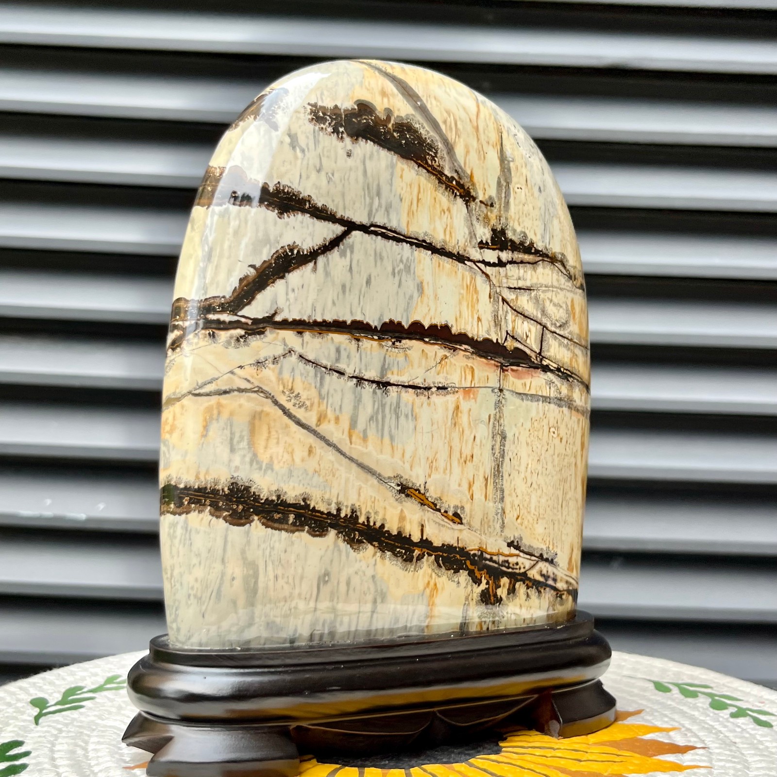 5.3 lb Landscape Stone Polished Arc Mineral Specimen Collectible Display Art